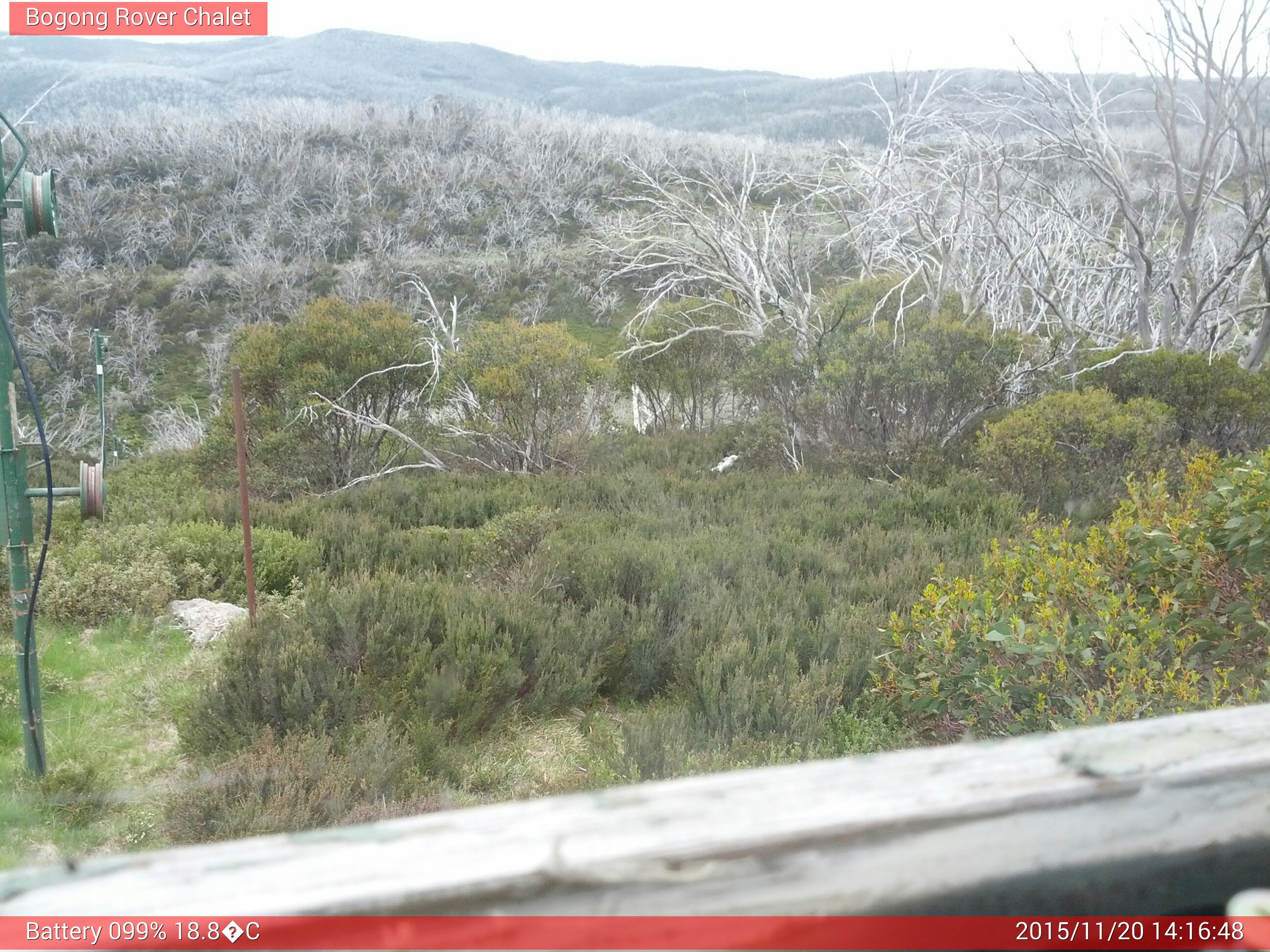 Bogong Web Cam 2:16pm Friday 20th of November 2015