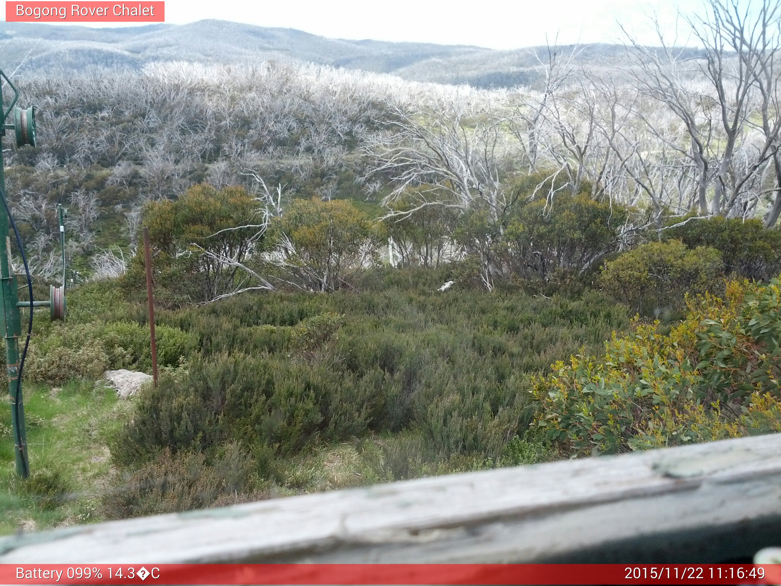 Bogong Web Cam 11:16am Sunday 22nd of November 2015