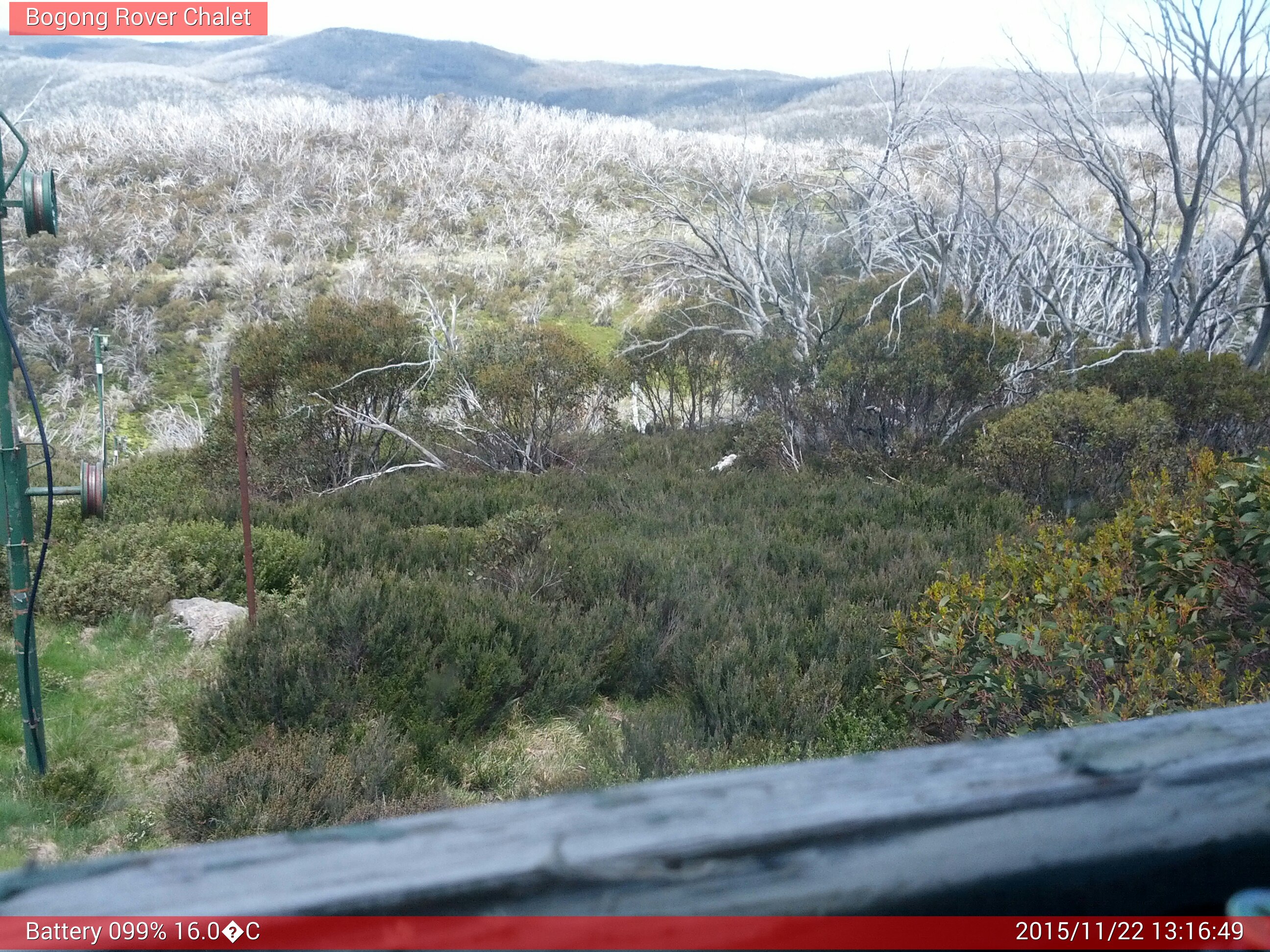 Bogong Web Cam 1:16pm Sunday 22nd of November 2015