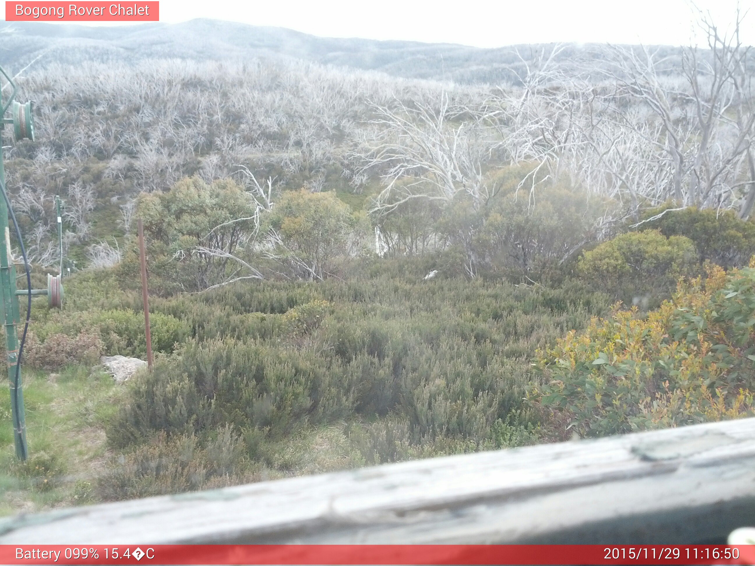 Bogong Web Cam 11:16am Sunday 29th of November 2015