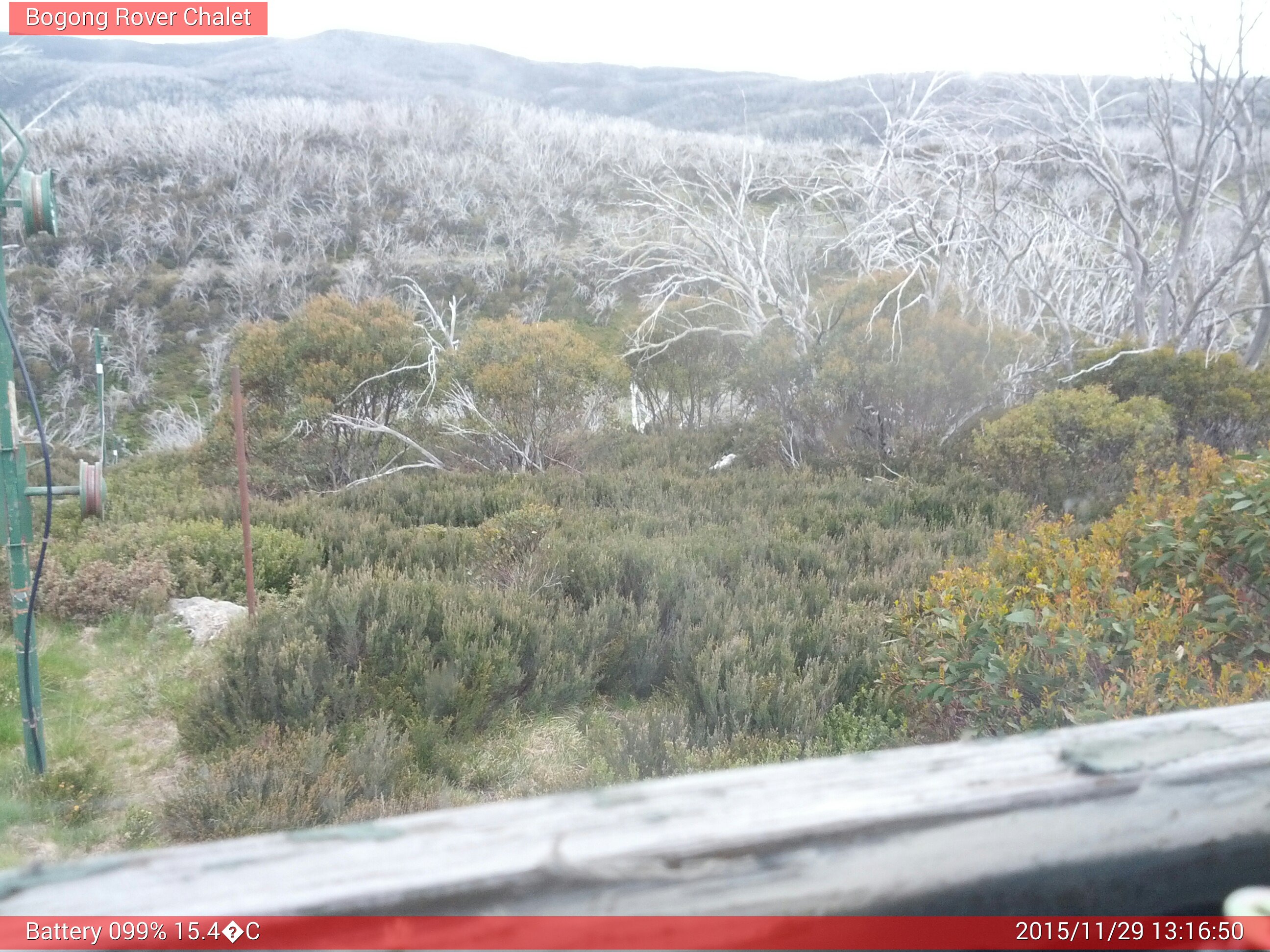 Bogong Web Cam 1:16pm Sunday 29th of November 2015