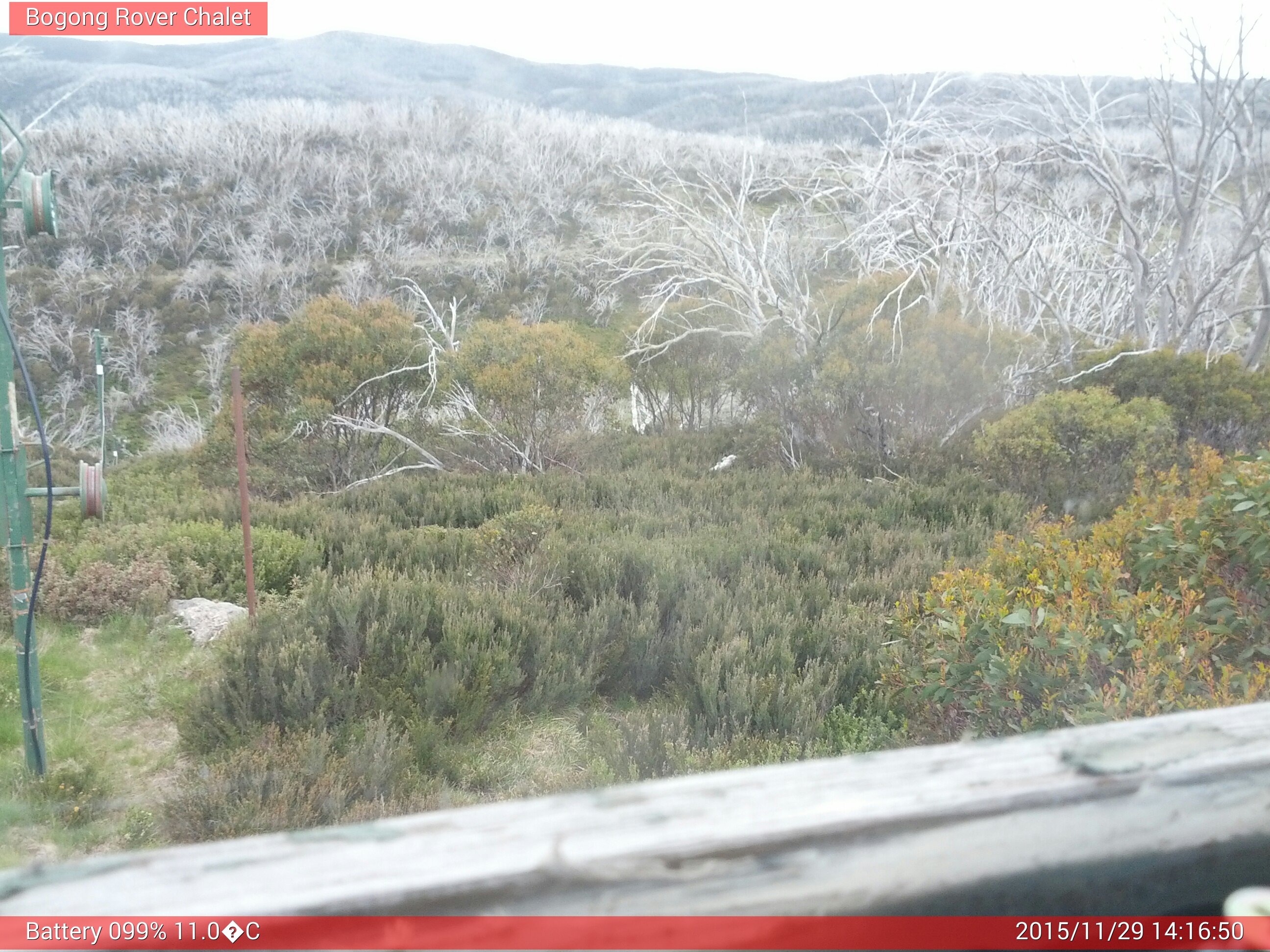 Bogong Web Cam 2:16pm Sunday 29th of November 2015