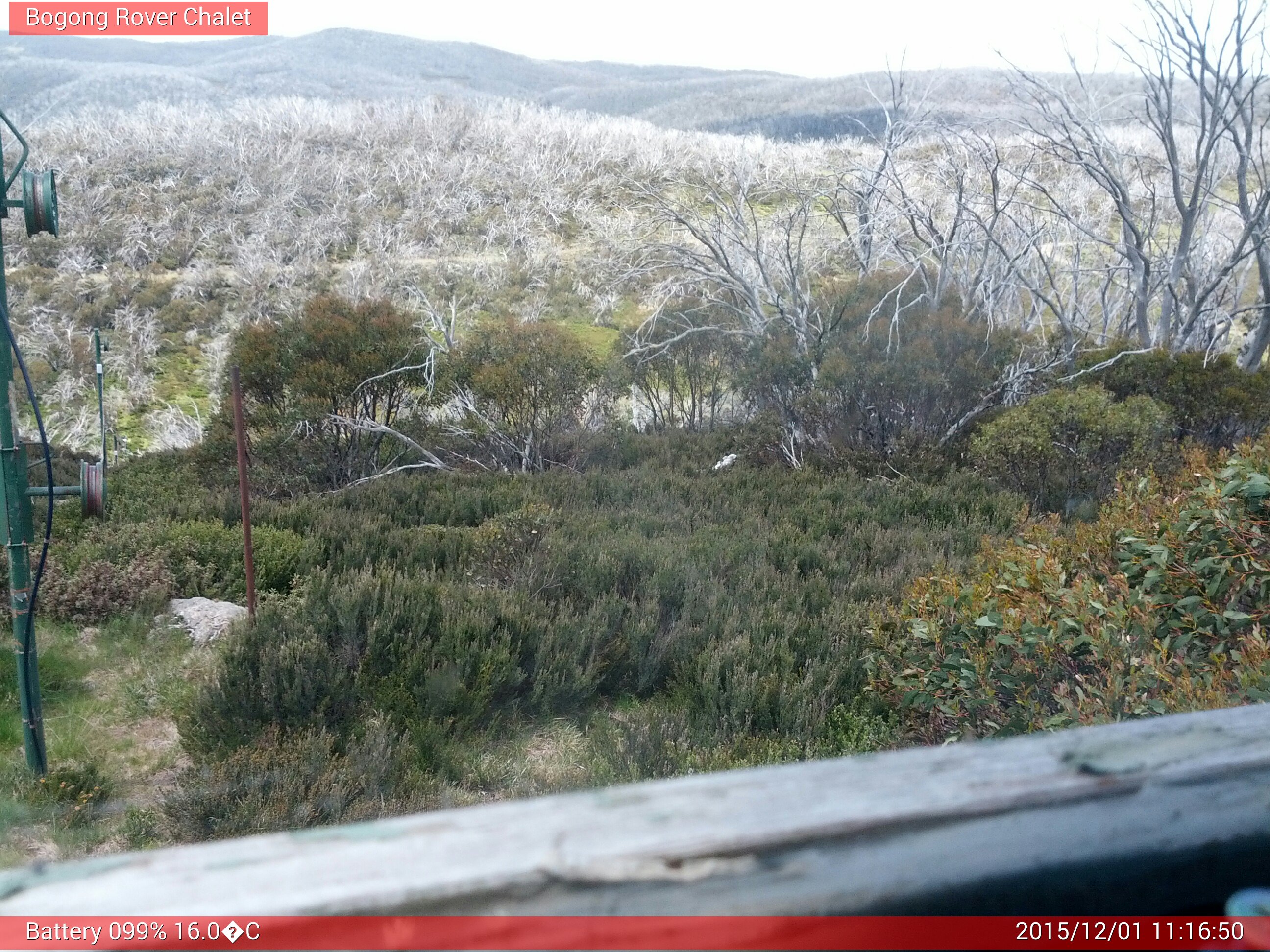 Bogong Web Cam 11:16am Tuesday 1st of December 2015