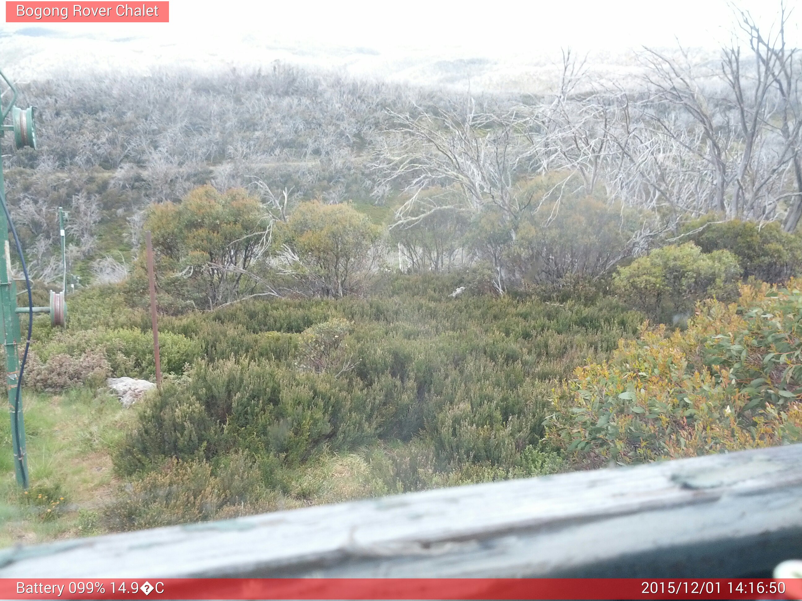 Bogong Web Cam 2:16pm Tuesday 1st of December 2015