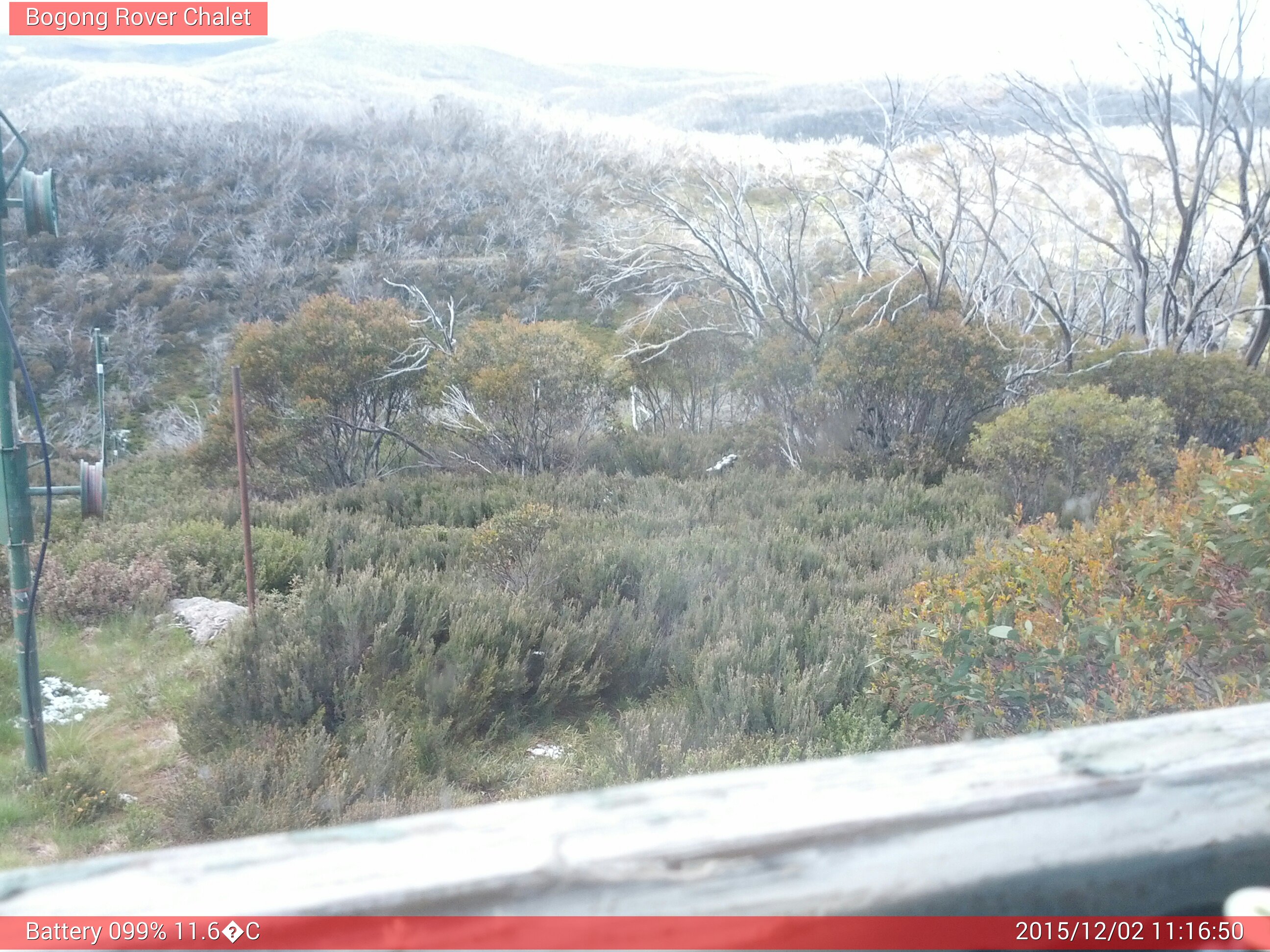 Bogong Web Cam 11:16am Wednesday 2nd of December 2015