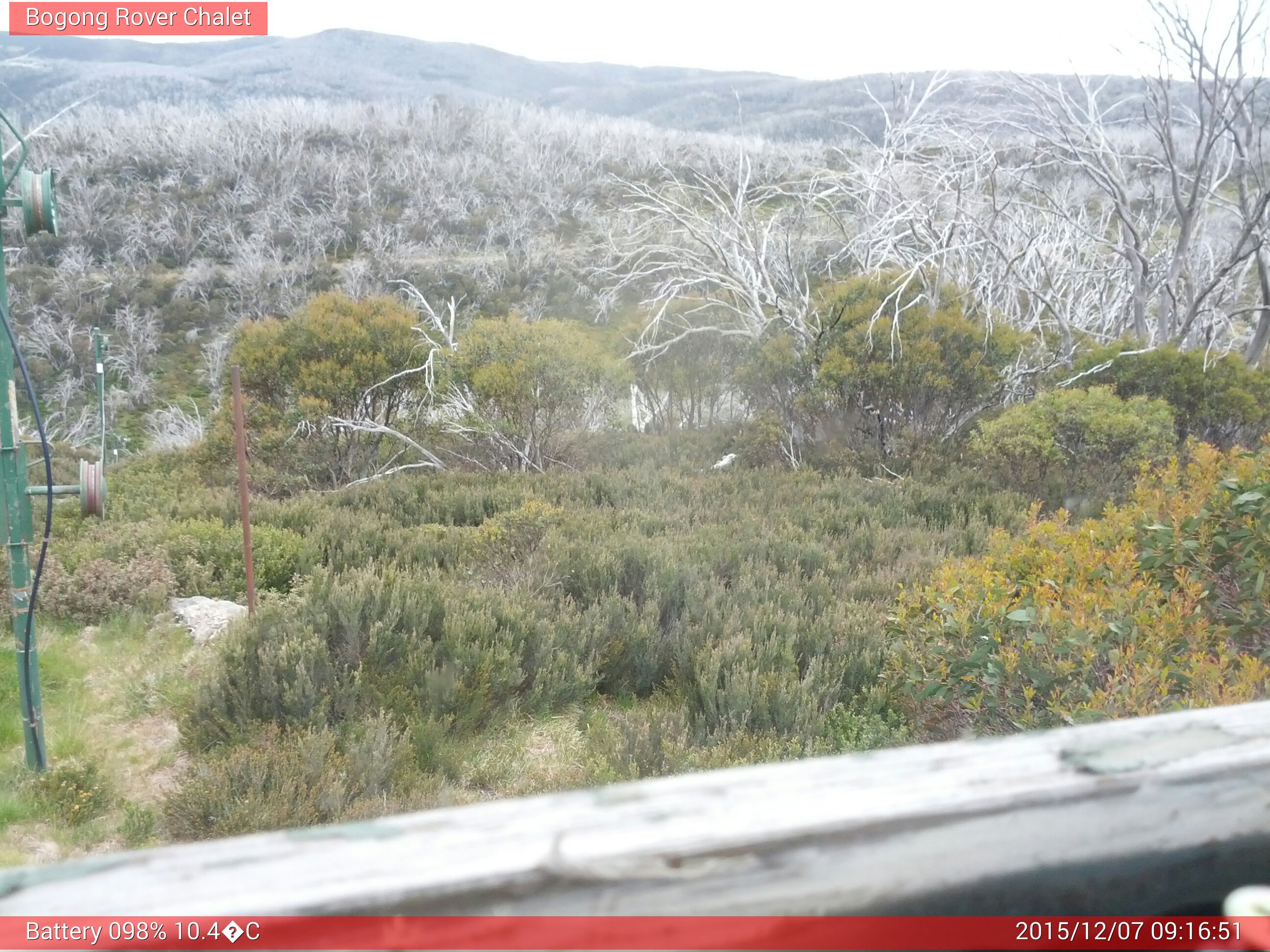 Bogong Web Cam 9:16am Monday 7th of December 2015