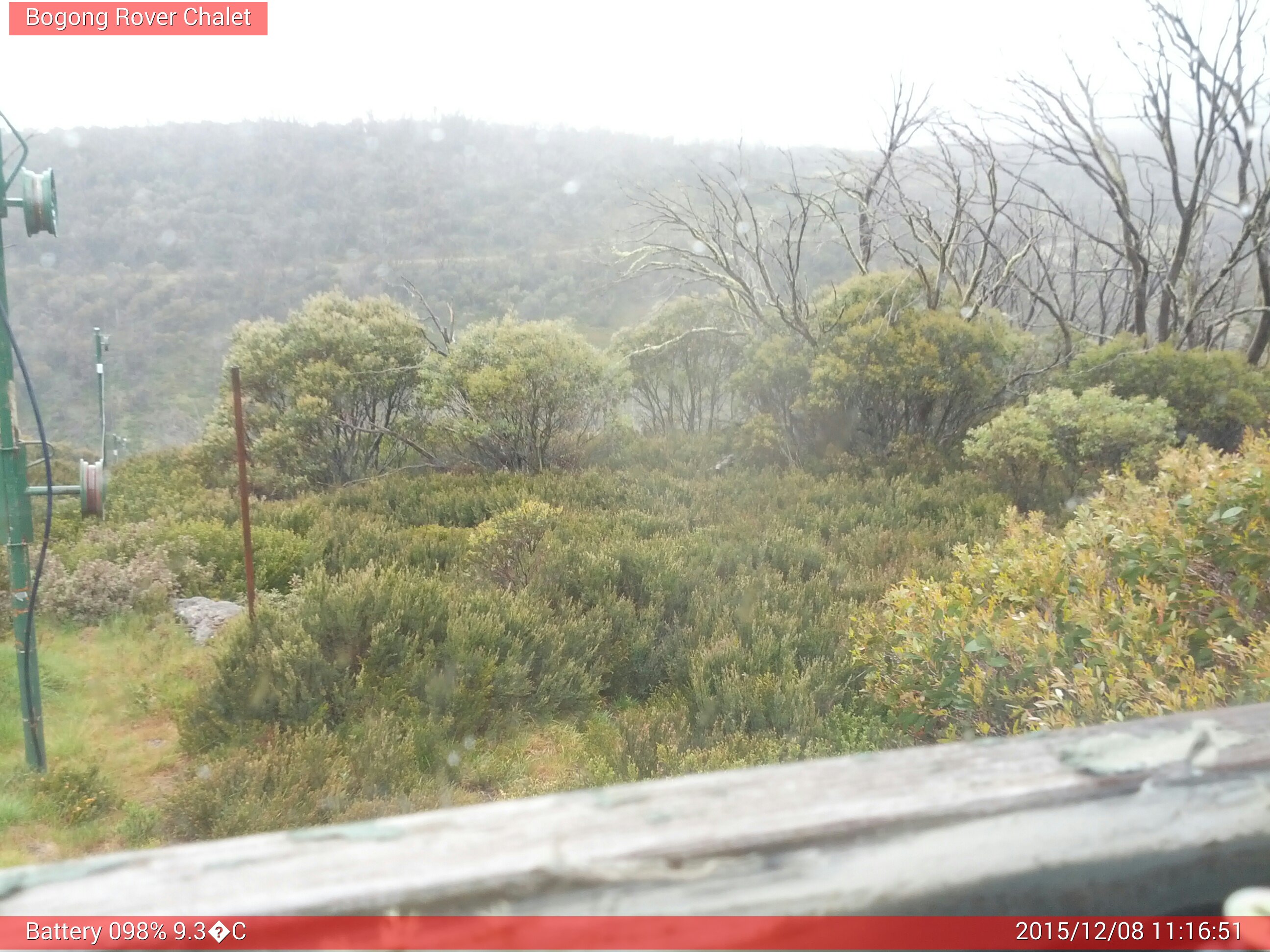 Bogong Web Cam 11:16am Tuesday 8th of December 2015