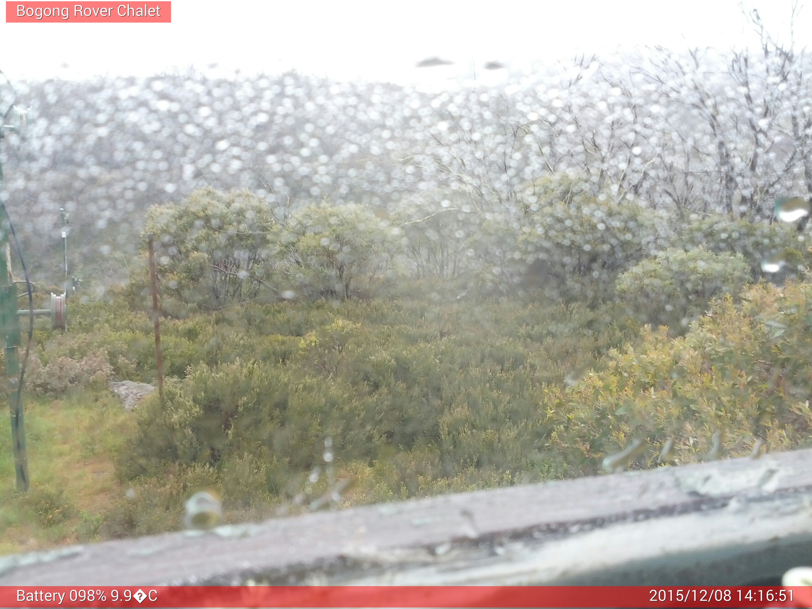 Bogong Web Cam 2:16pm Tuesday 8th of December 2015