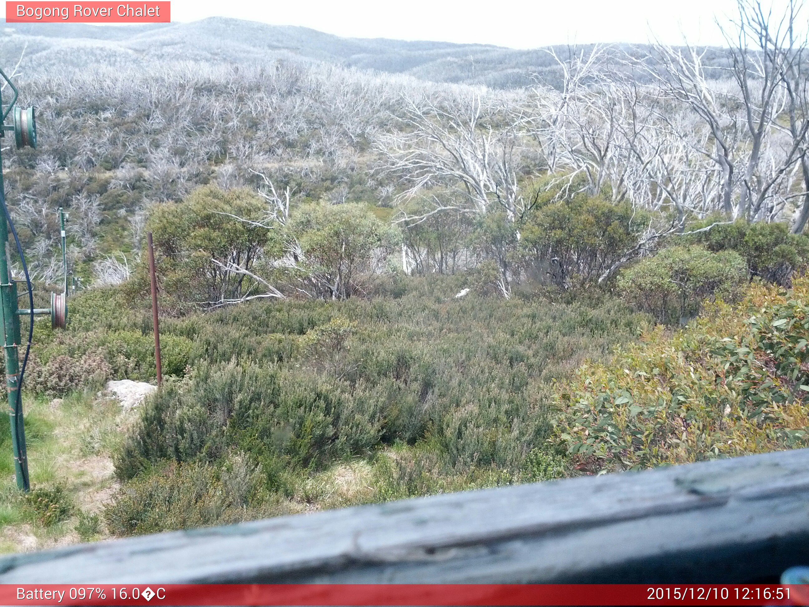 Bogong Web Cam 12:16pm Thursday 10th of December 2015