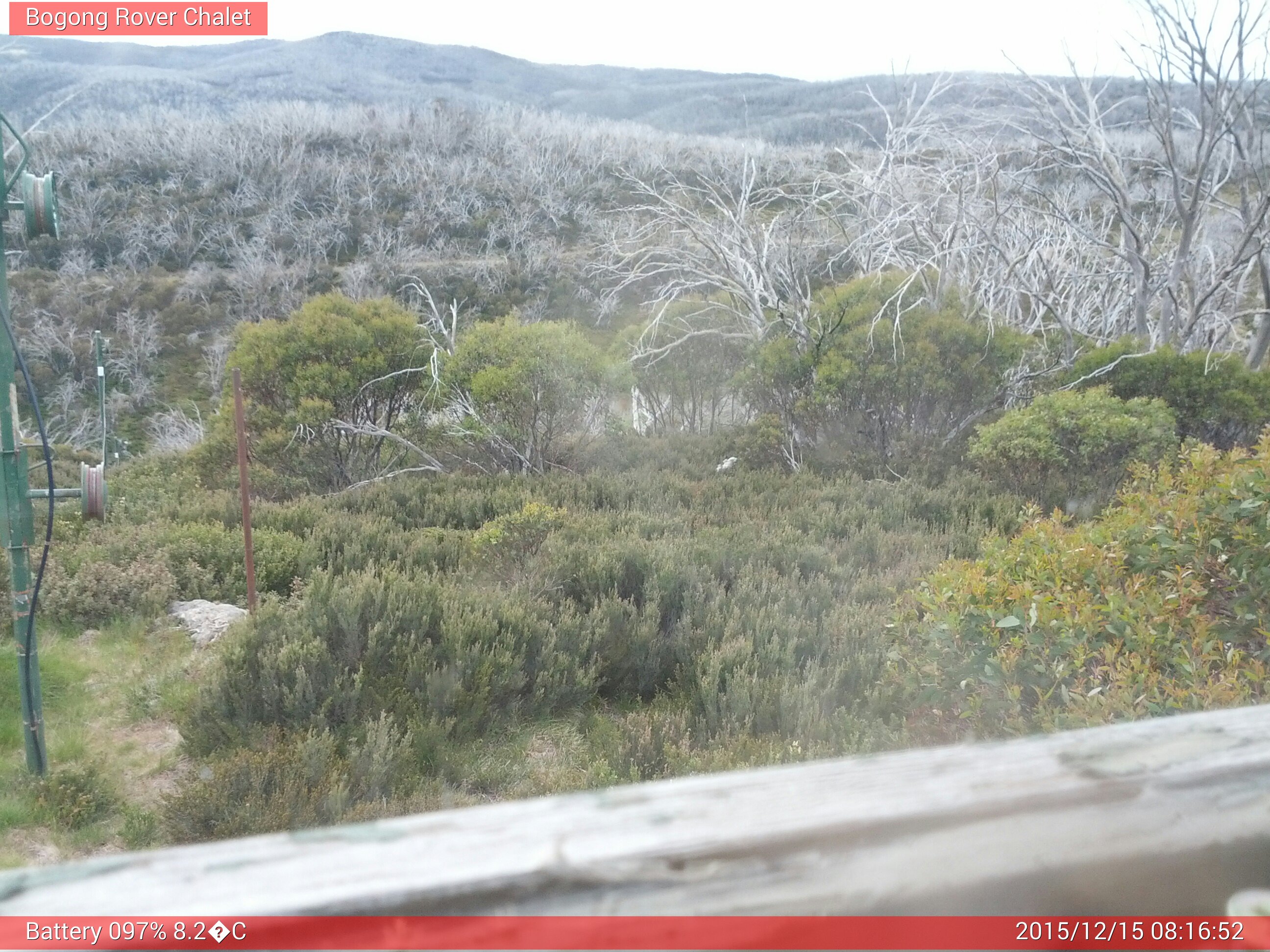 Bogong Web Cam 8:16am Tuesday 15th of December 2015