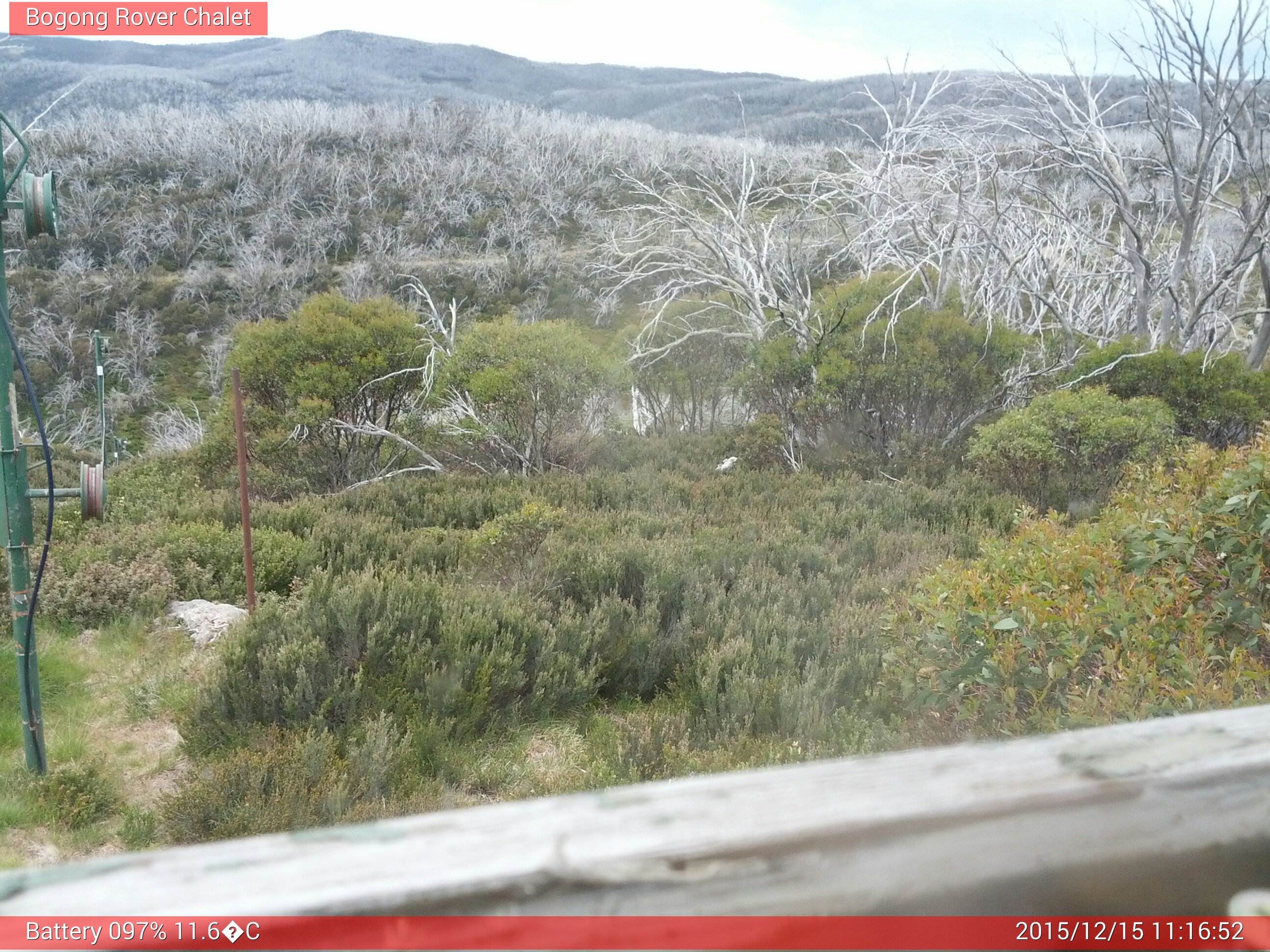 Bogong Web Cam 11:16am Tuesday 15th of December 2015