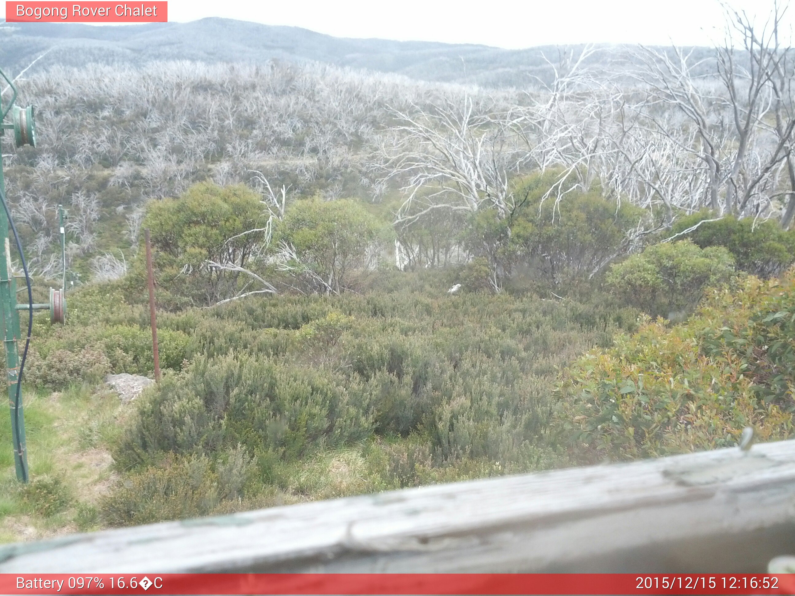 Bogong Web Cam 12:16pm Tuesday 15th of December 2015