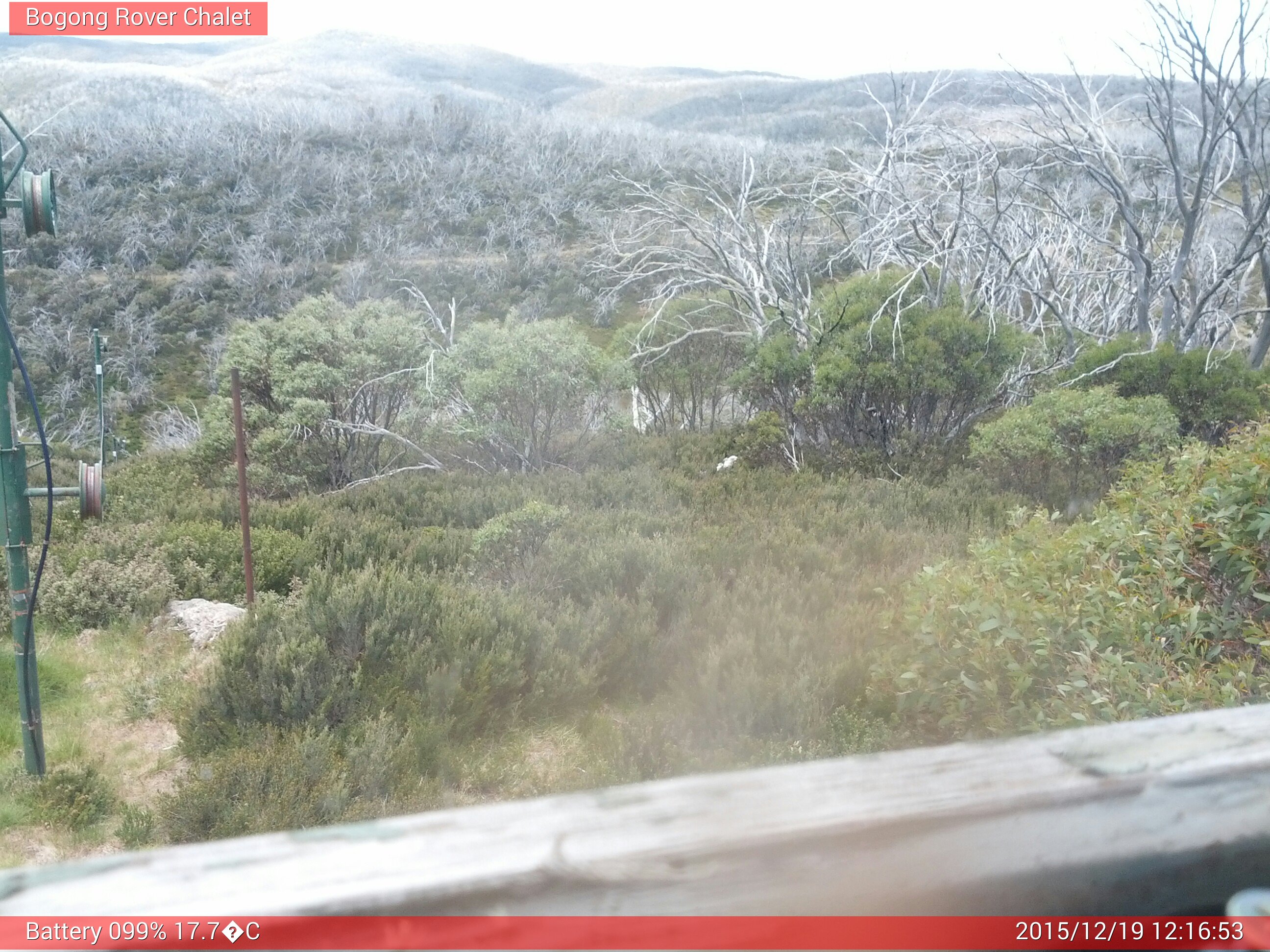 Bogong Web Cam 12:16pm Saturday 19th of December 2015