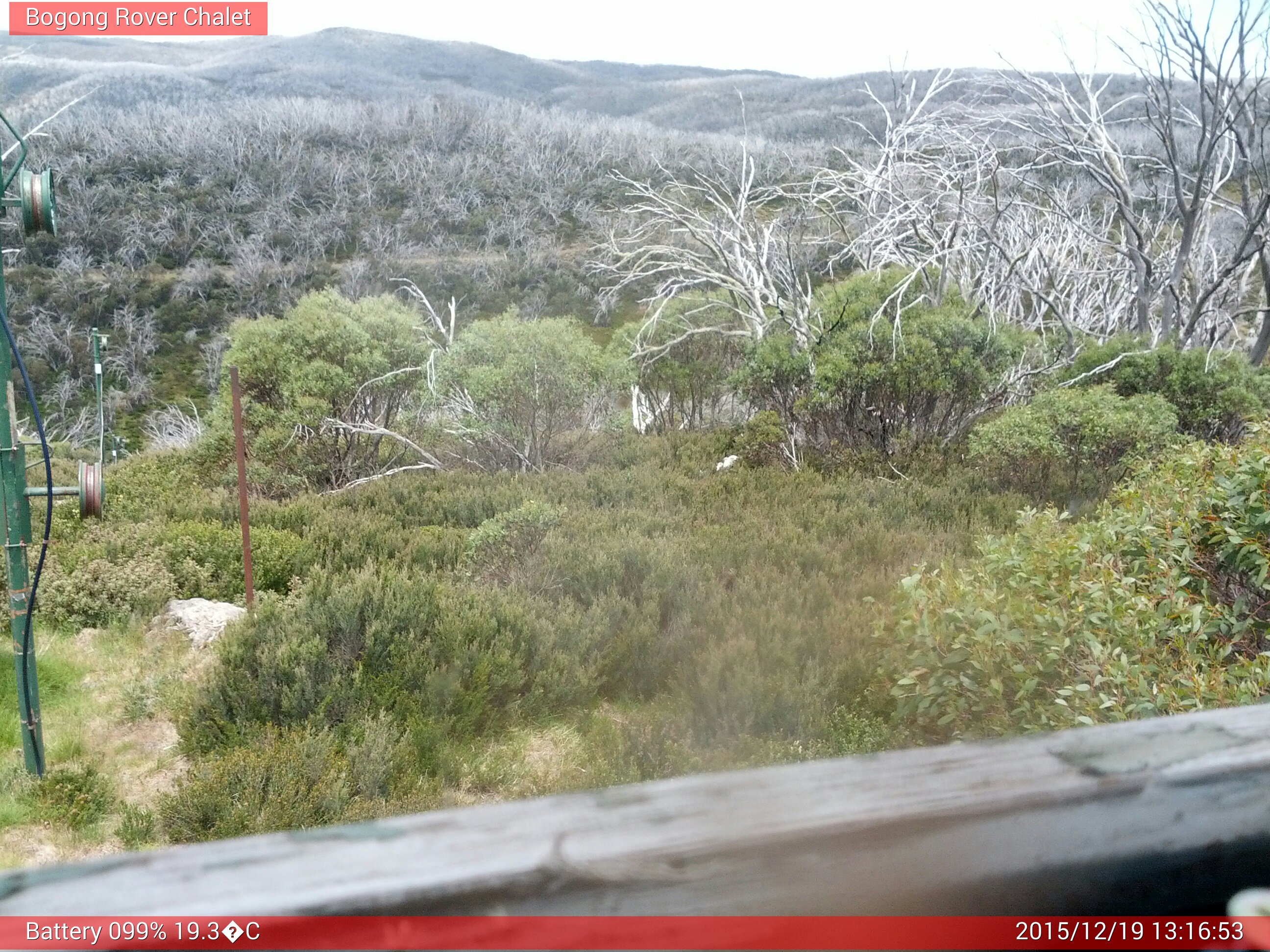 Bogong Web Cam 1:16pm Saturday 19th of December 2015