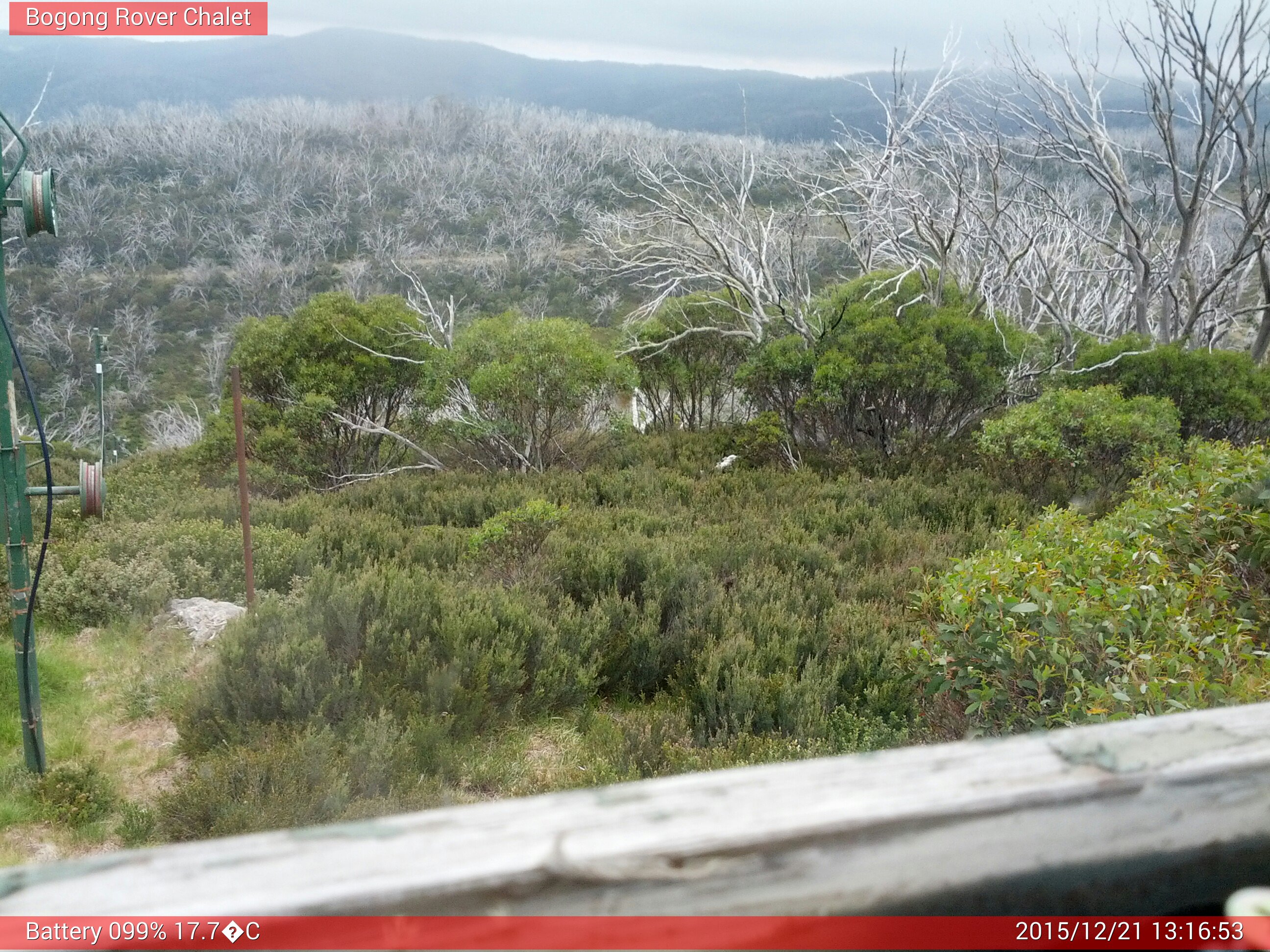 Bogong Web Cam 1:16pm Monday 21st of December 2015