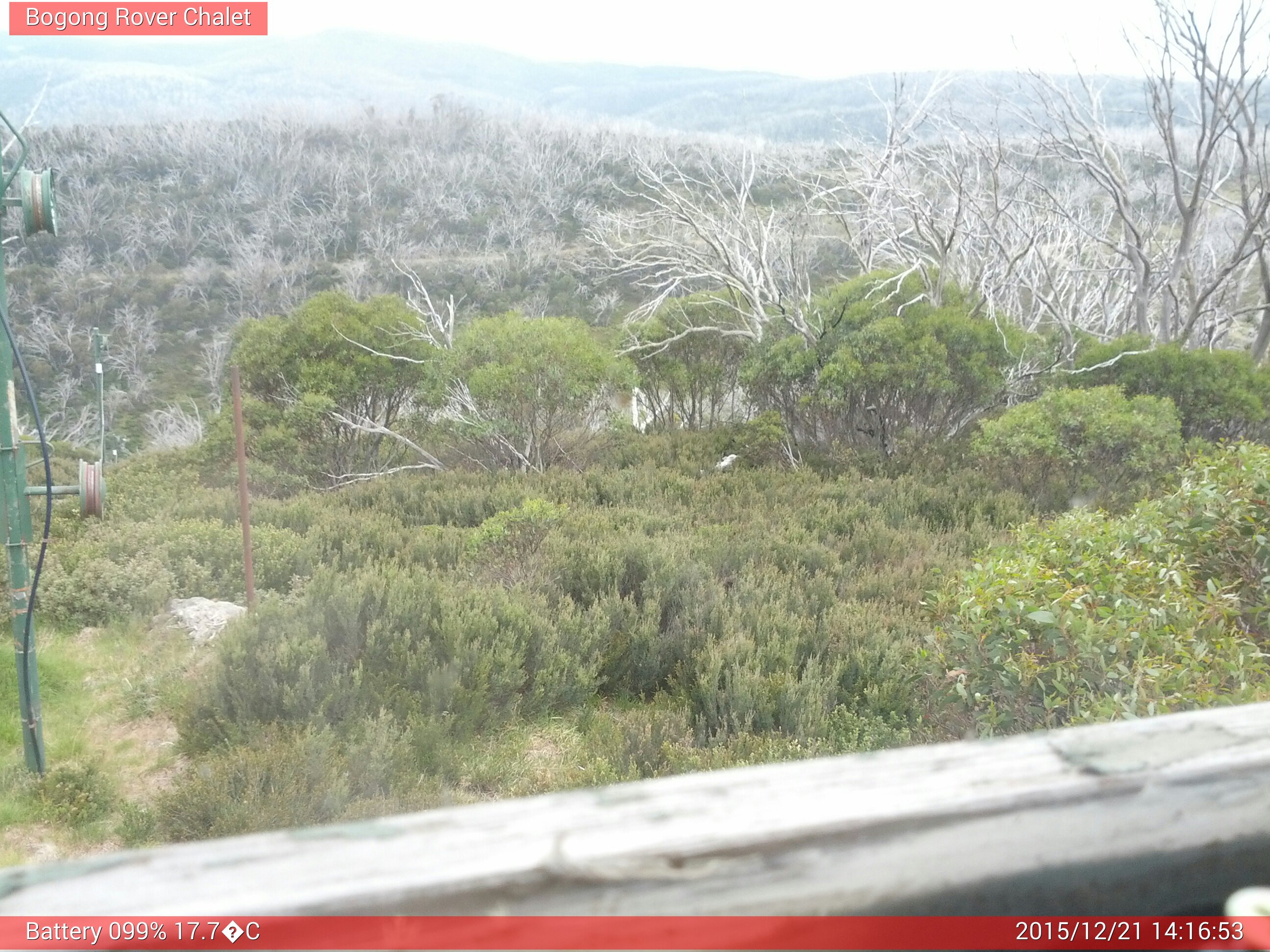 Bogong Web Cam 2:16pm Monday 21st of December 2015