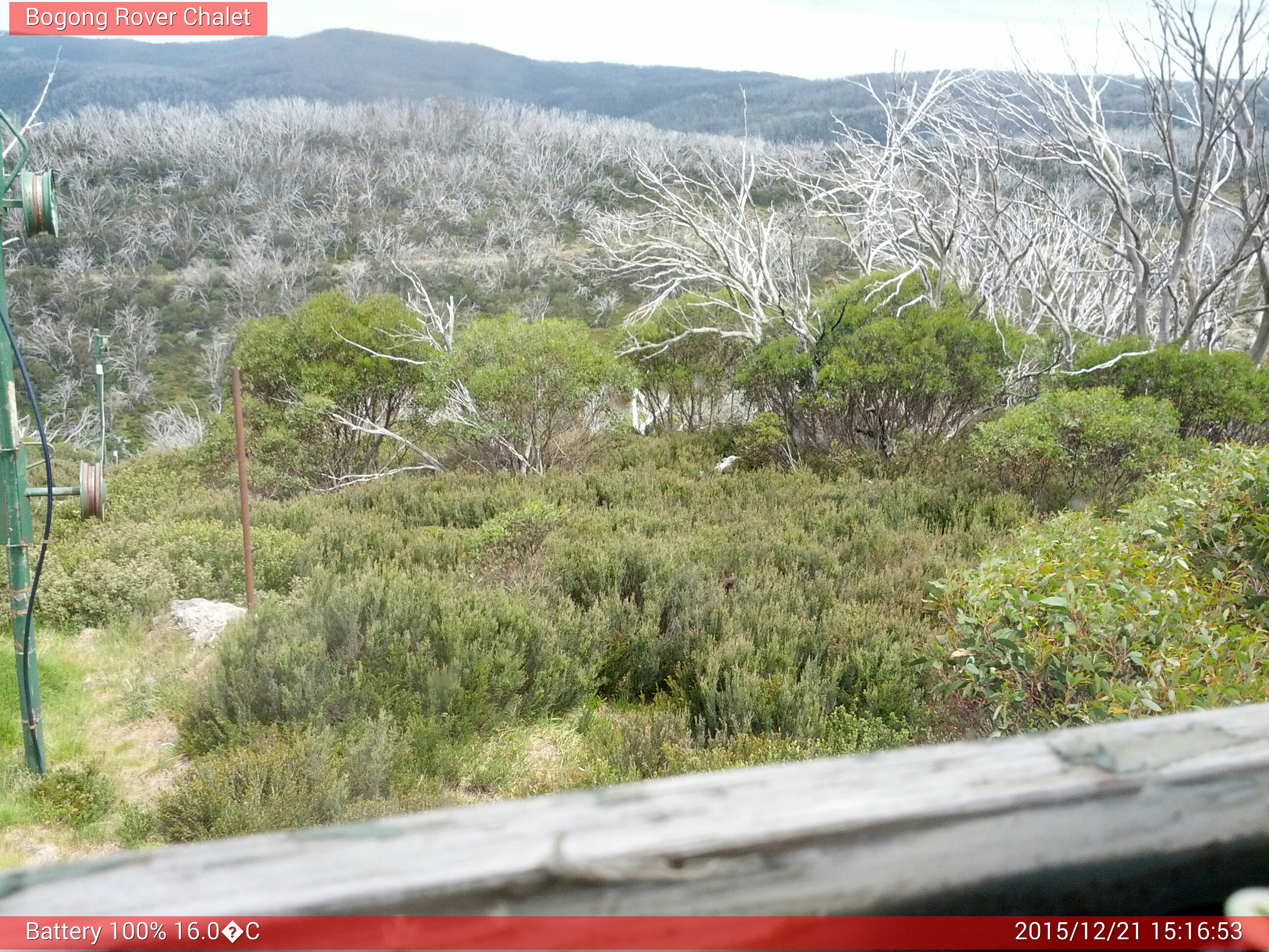 Bogong Web Cam 3:16pm Monday 21st of December 2015