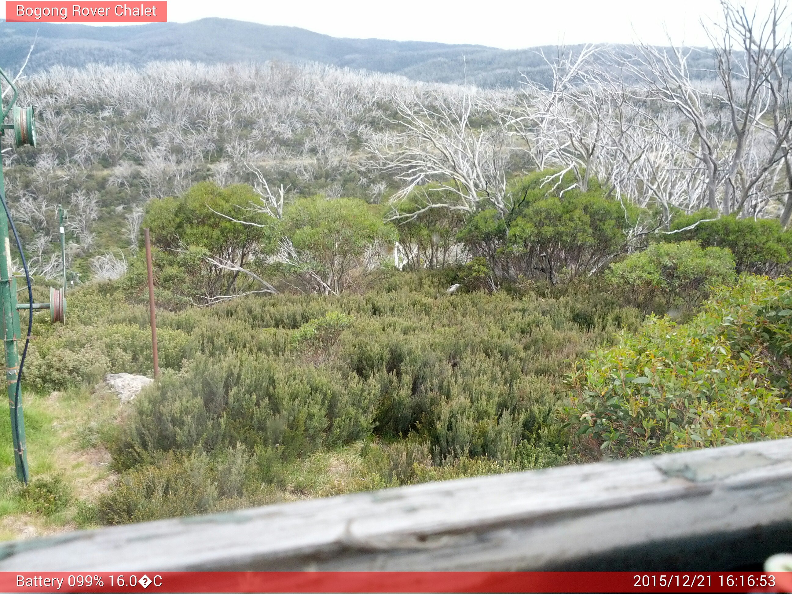 Bogong Web Cam 4:16pm Monday 21st of December 2015