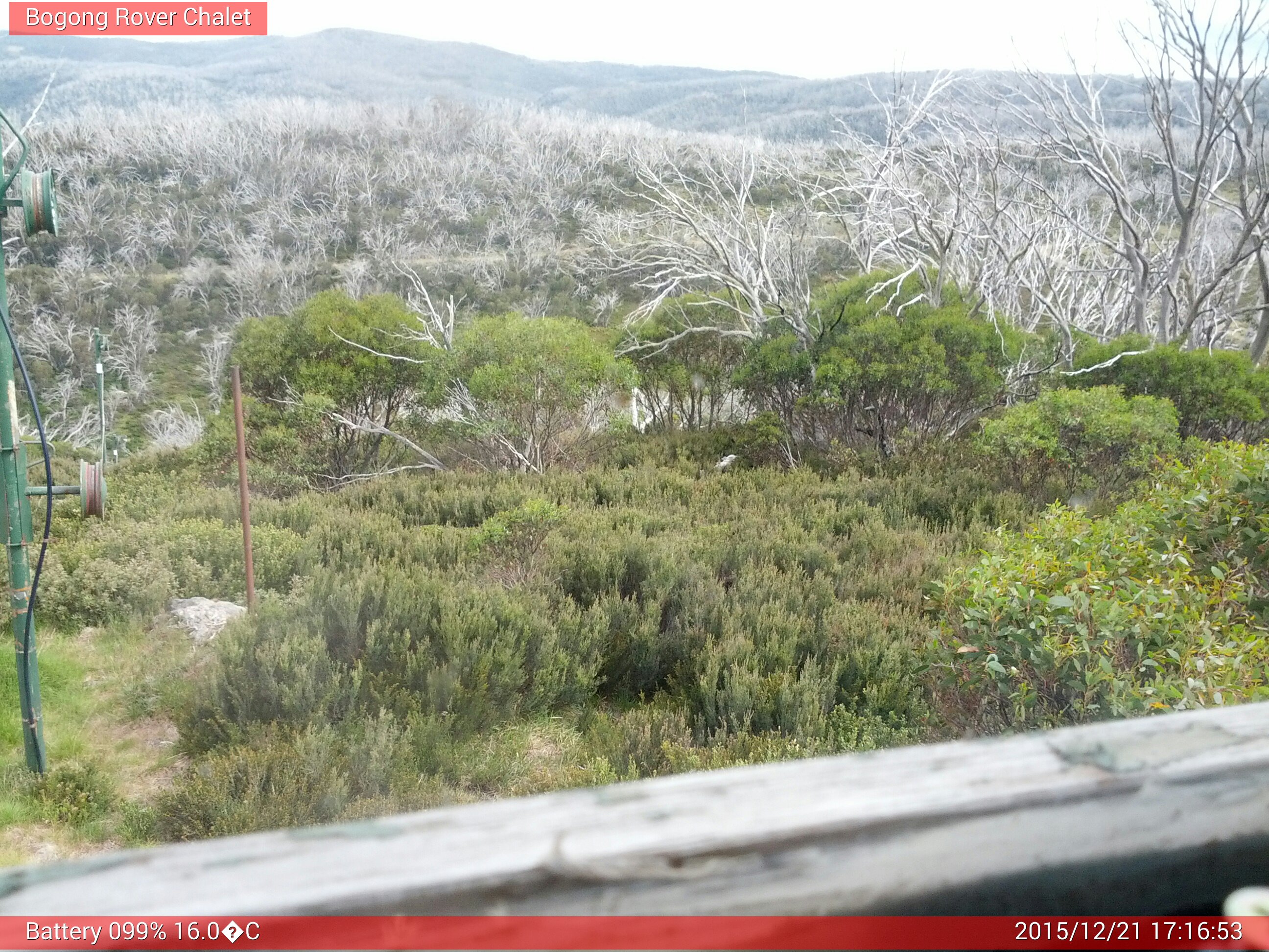 Bogong Web Cam 5:16pm Monday 21st of December 2015