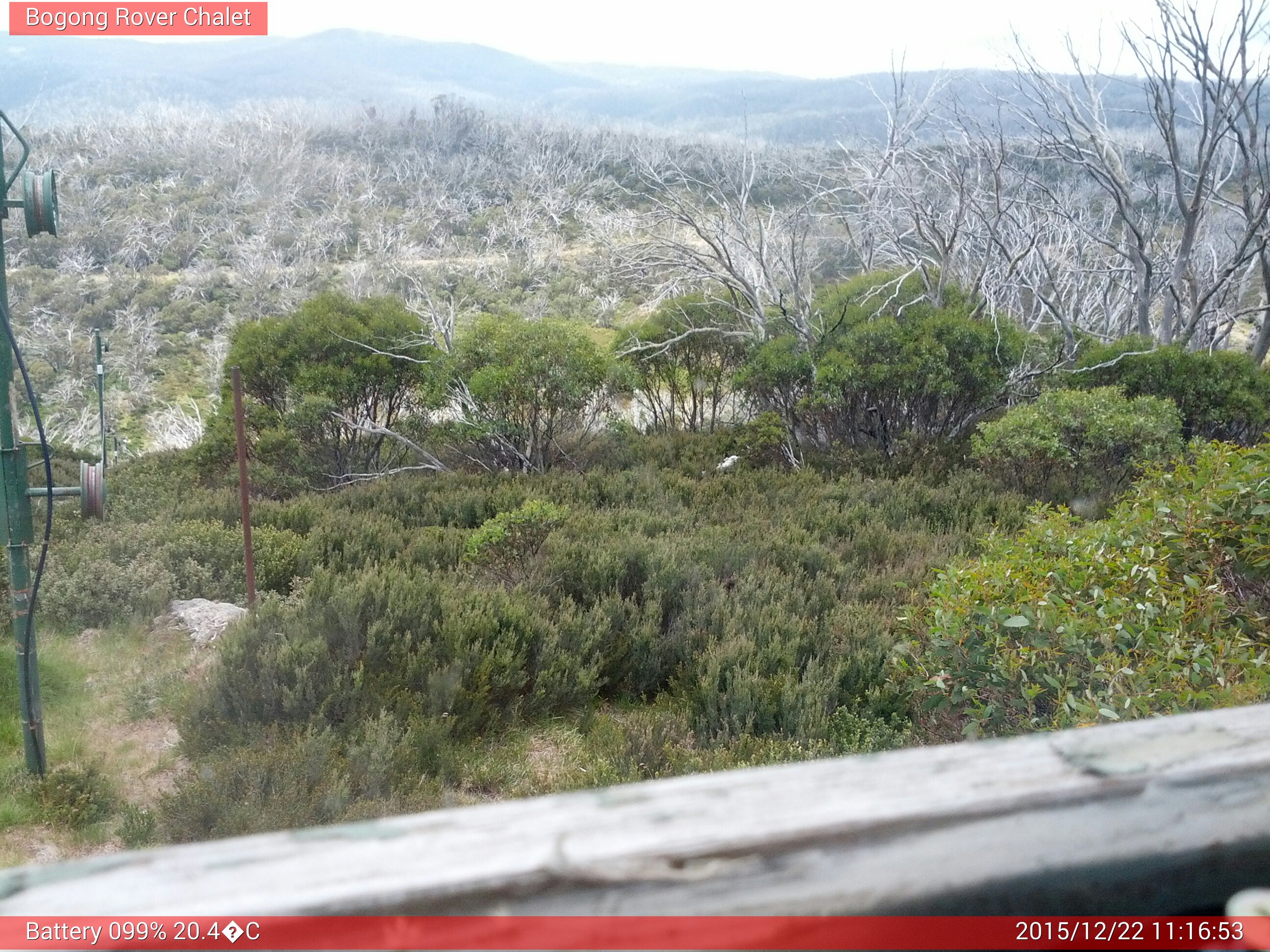 Bogong Web Cam 11:16am Tuesday 22nd of December 2015