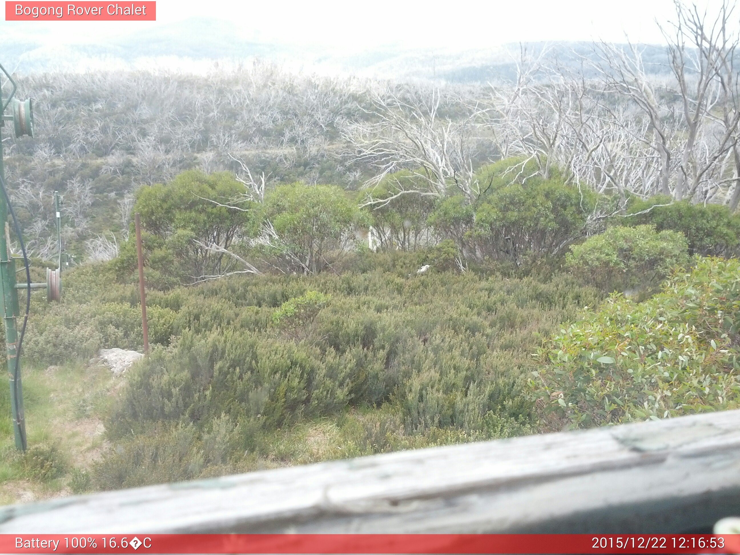 Bogong Web Cam 12:16pm Tuesday 22nd of December 2015