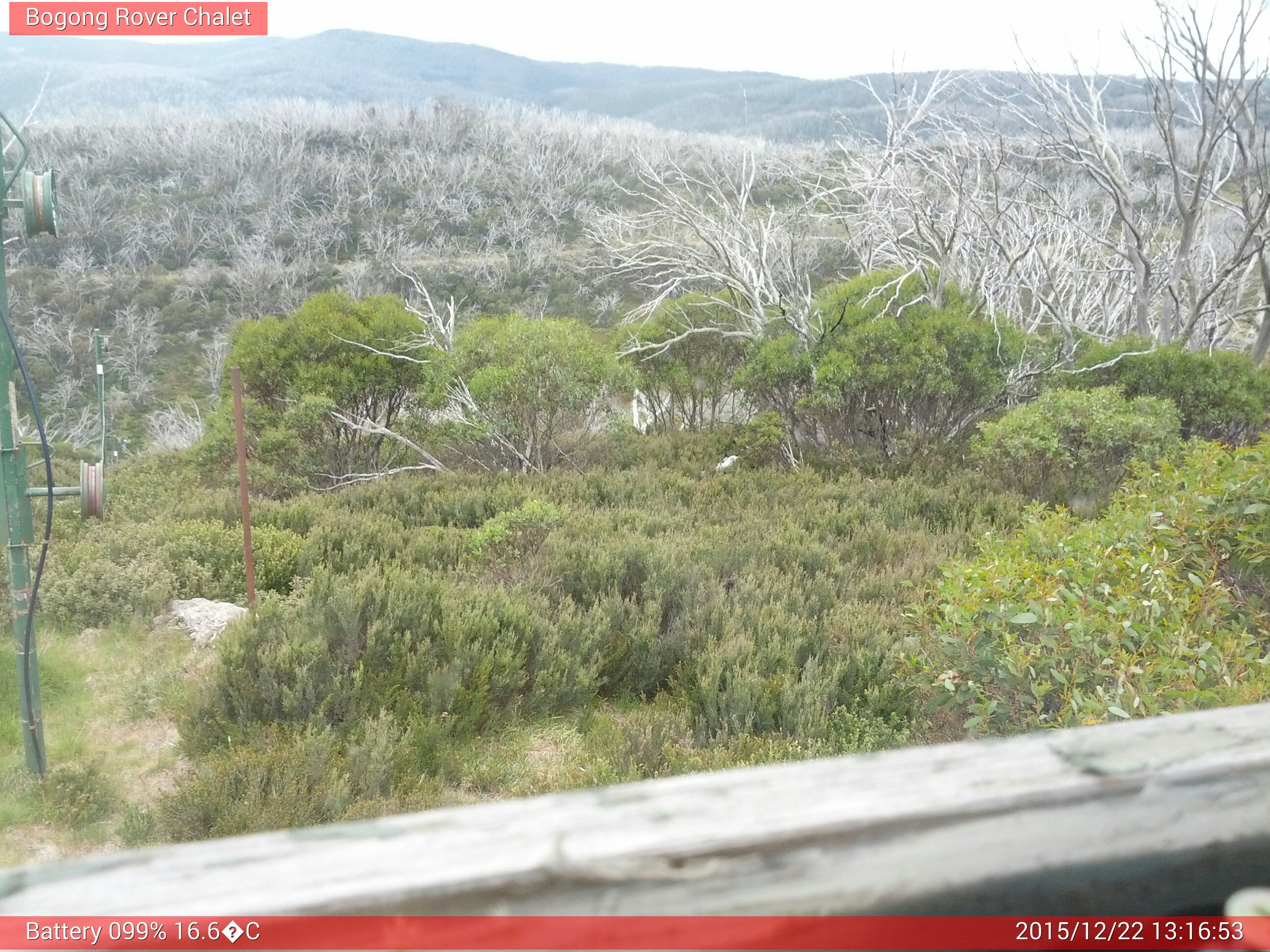 Bogong Web Cam 1:16pm Tuesday 22nd of December 2015