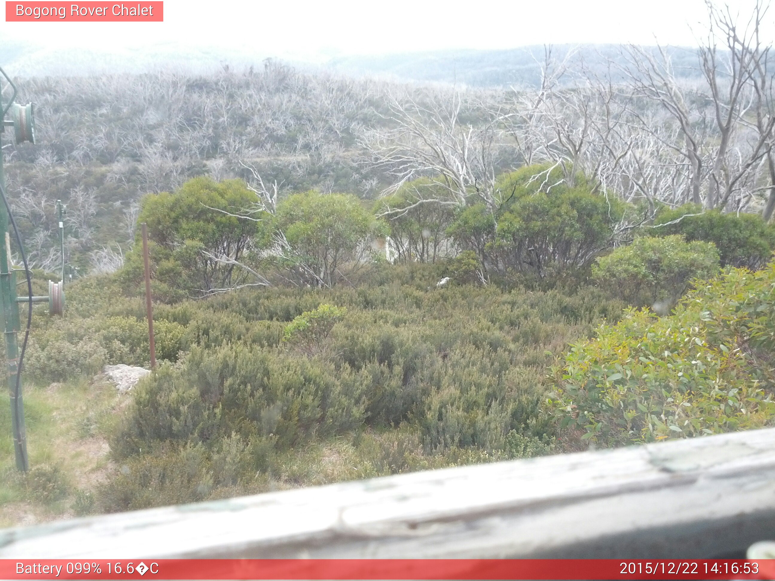 Bogong Web Cam 2:16pm Tuesday 22nd of December 2015