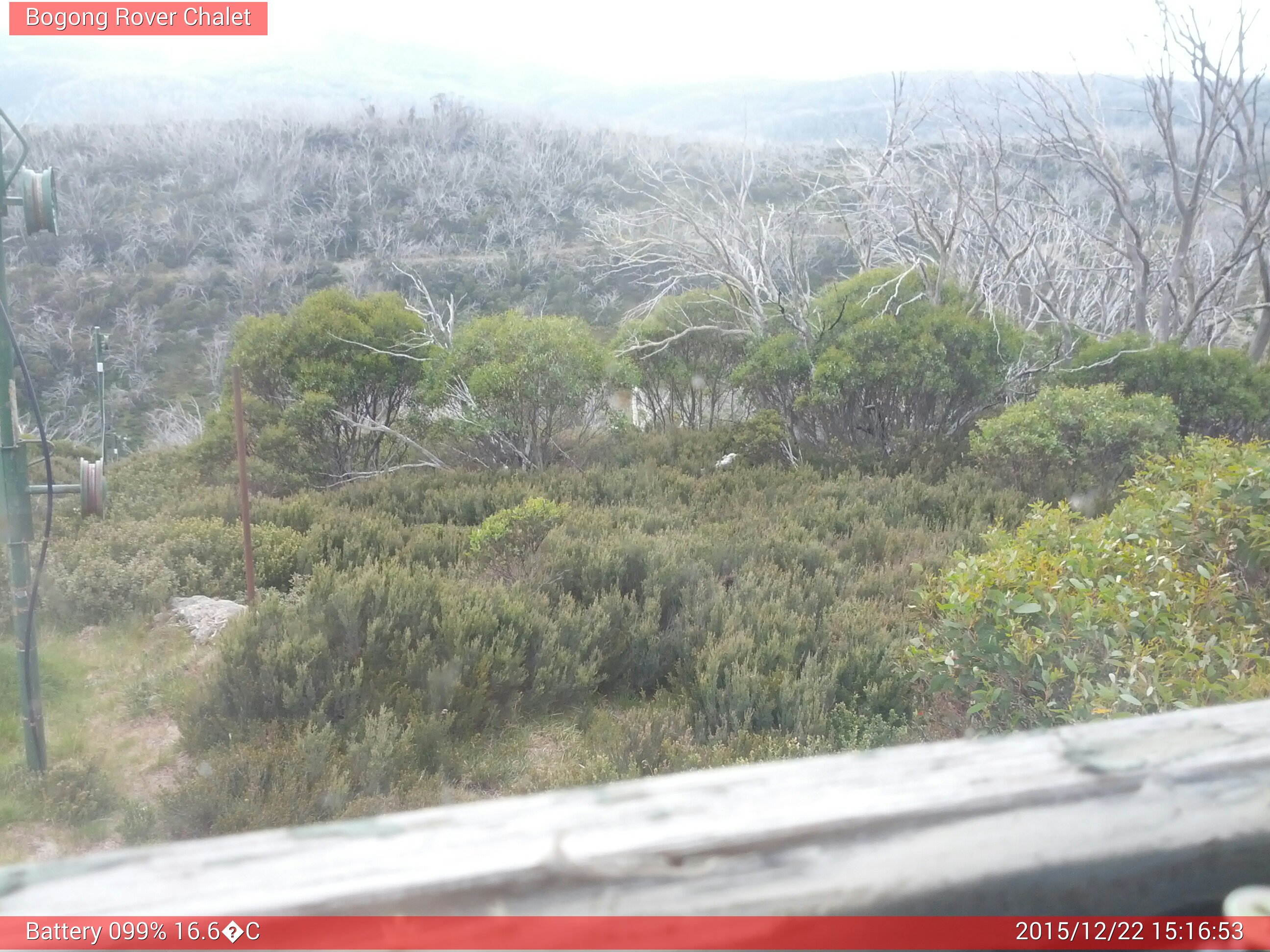 Bogong Web Cam 3:16pm Tuesday 22nd of December 2015