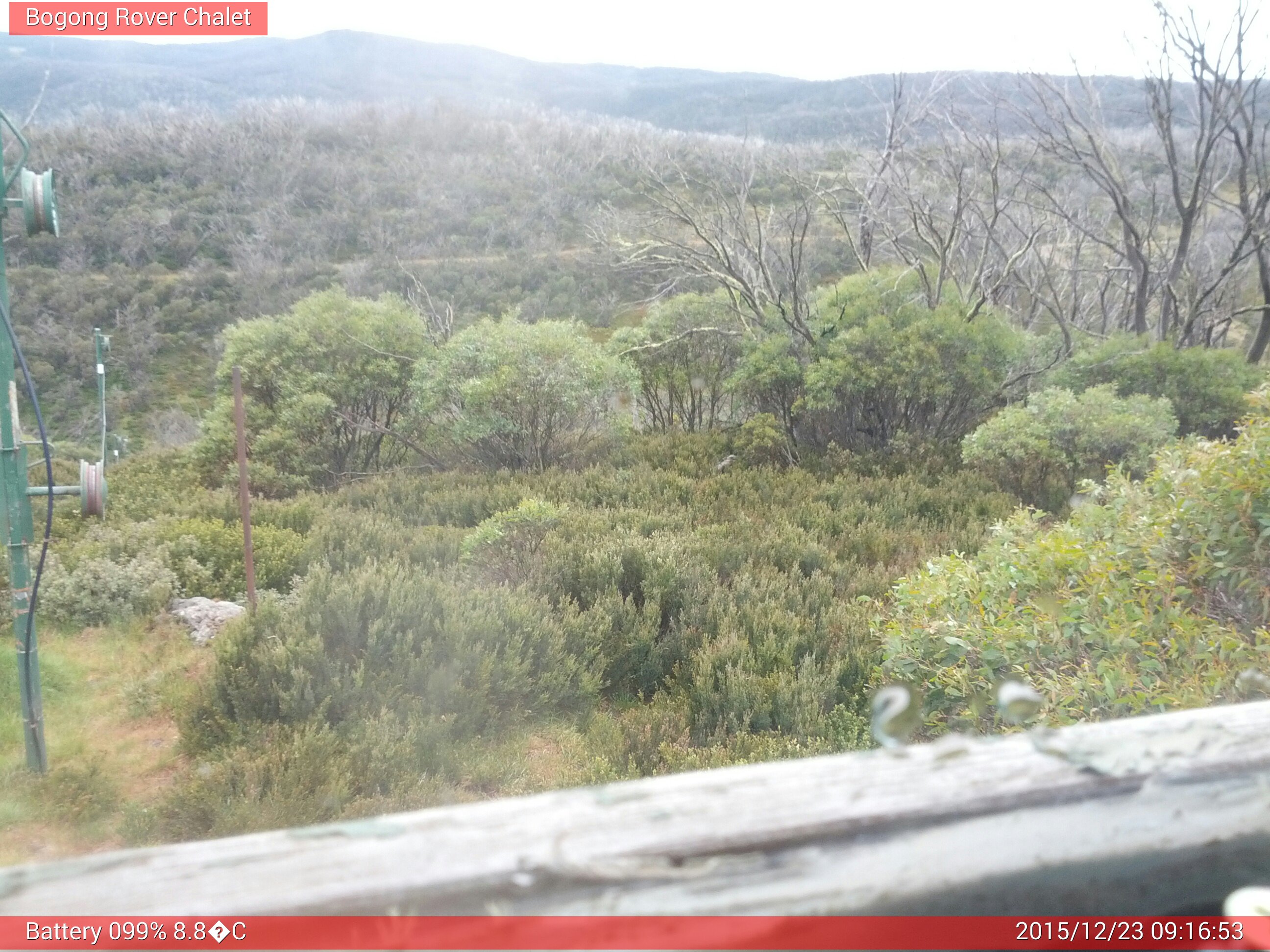 Bogong Web Cam 9:16am Wednesday 23rd of December 2015