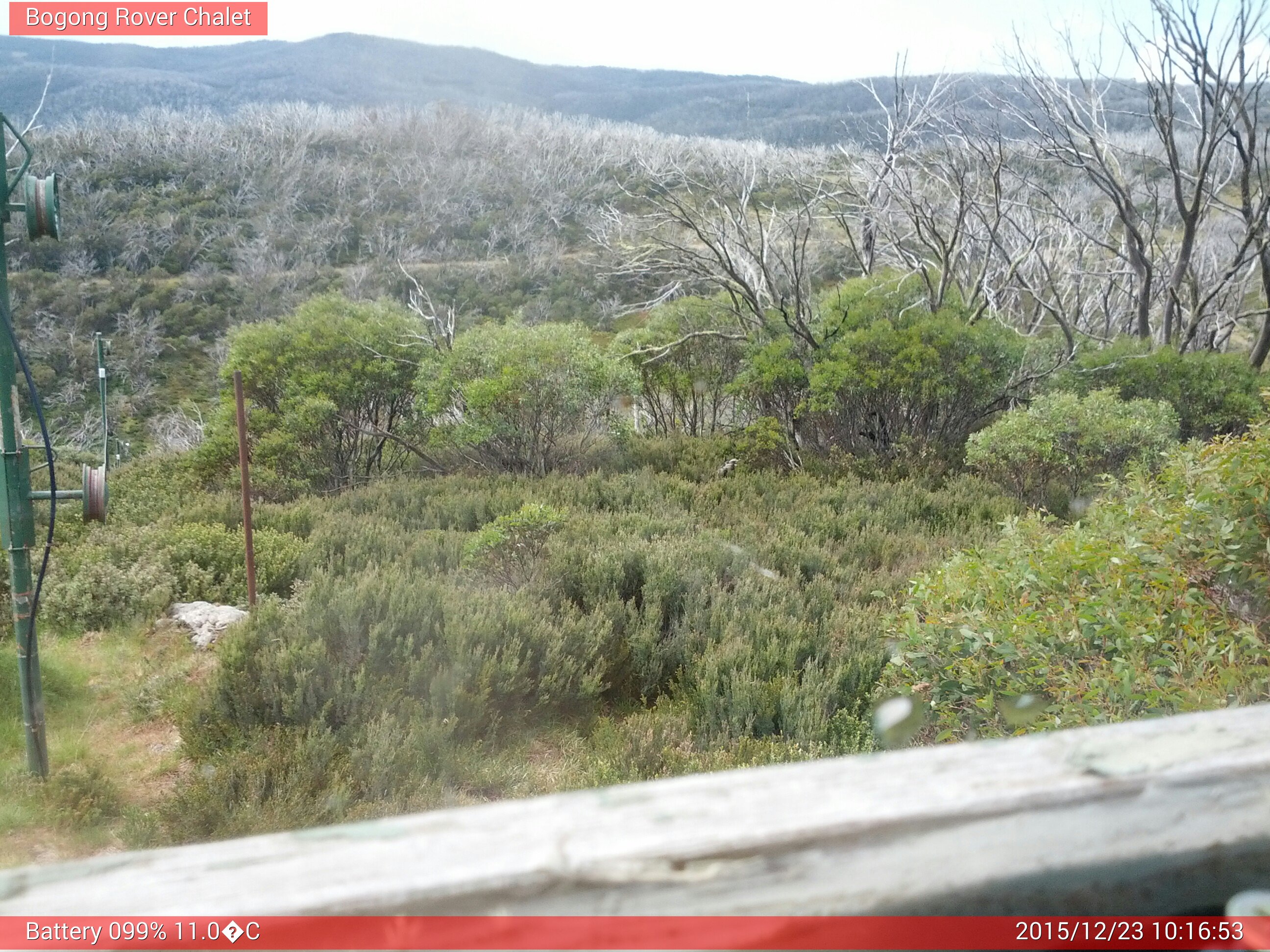 Bogong Web Cam 10:16am Wednesday 23rd of December 2015