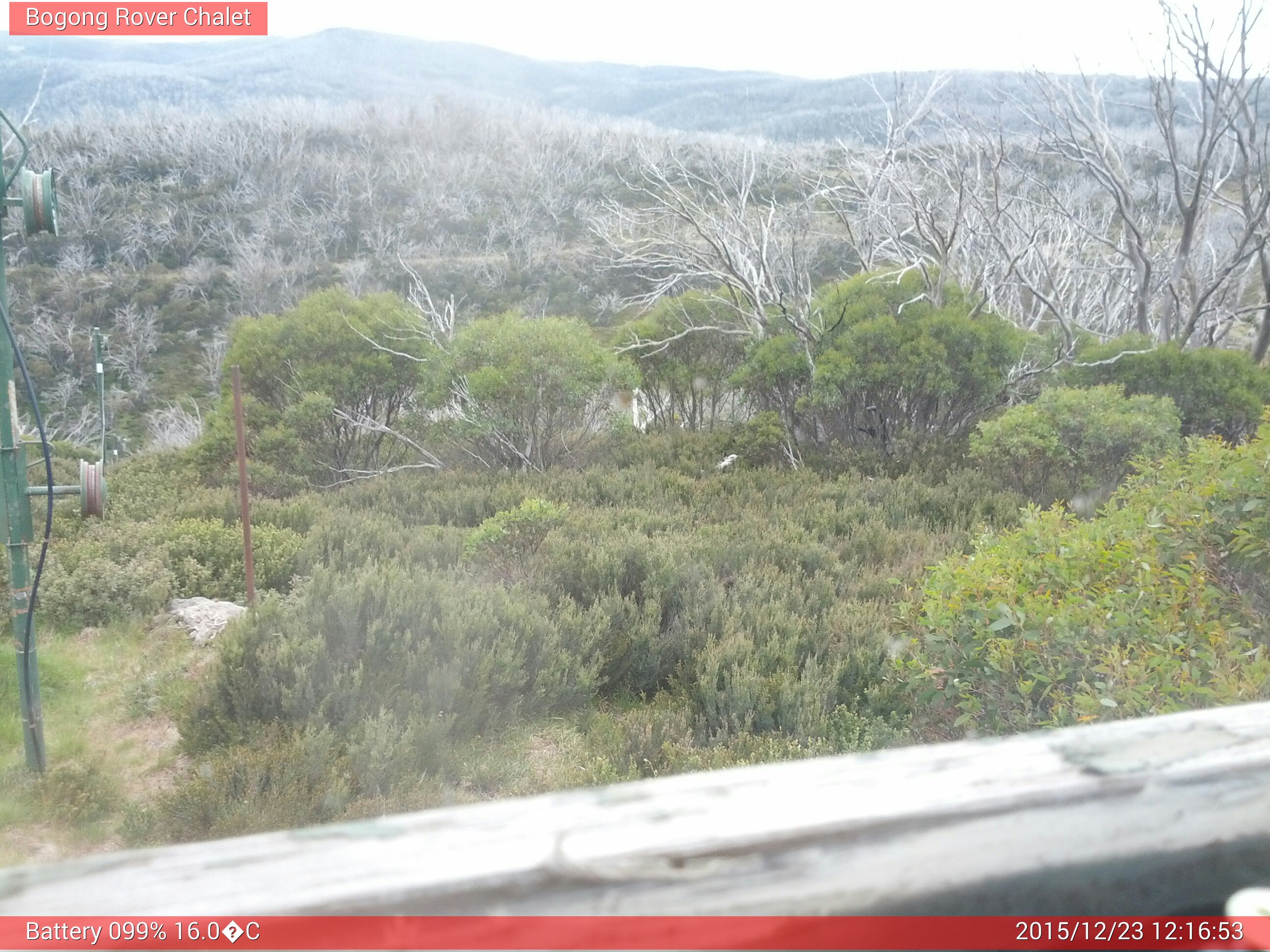 Bogong Web Cam 12:16pm Wednesday 23rd of December 2015