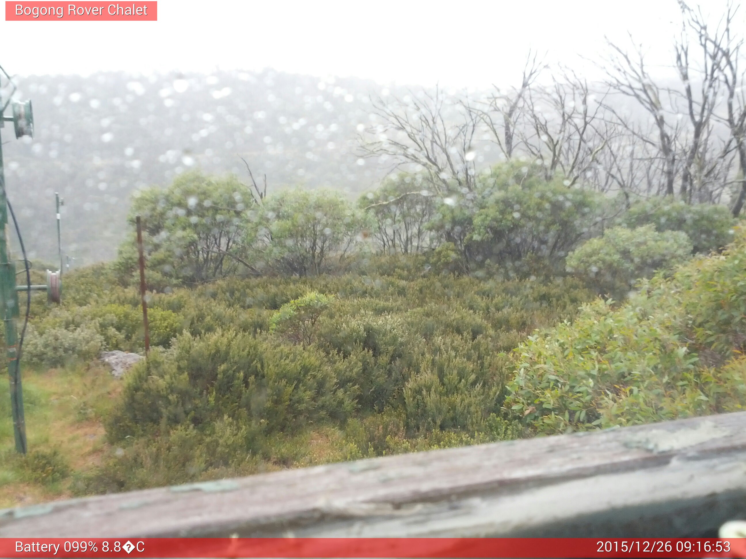 Bogong Web Cam 9:16am Saturday 26th of December 2015