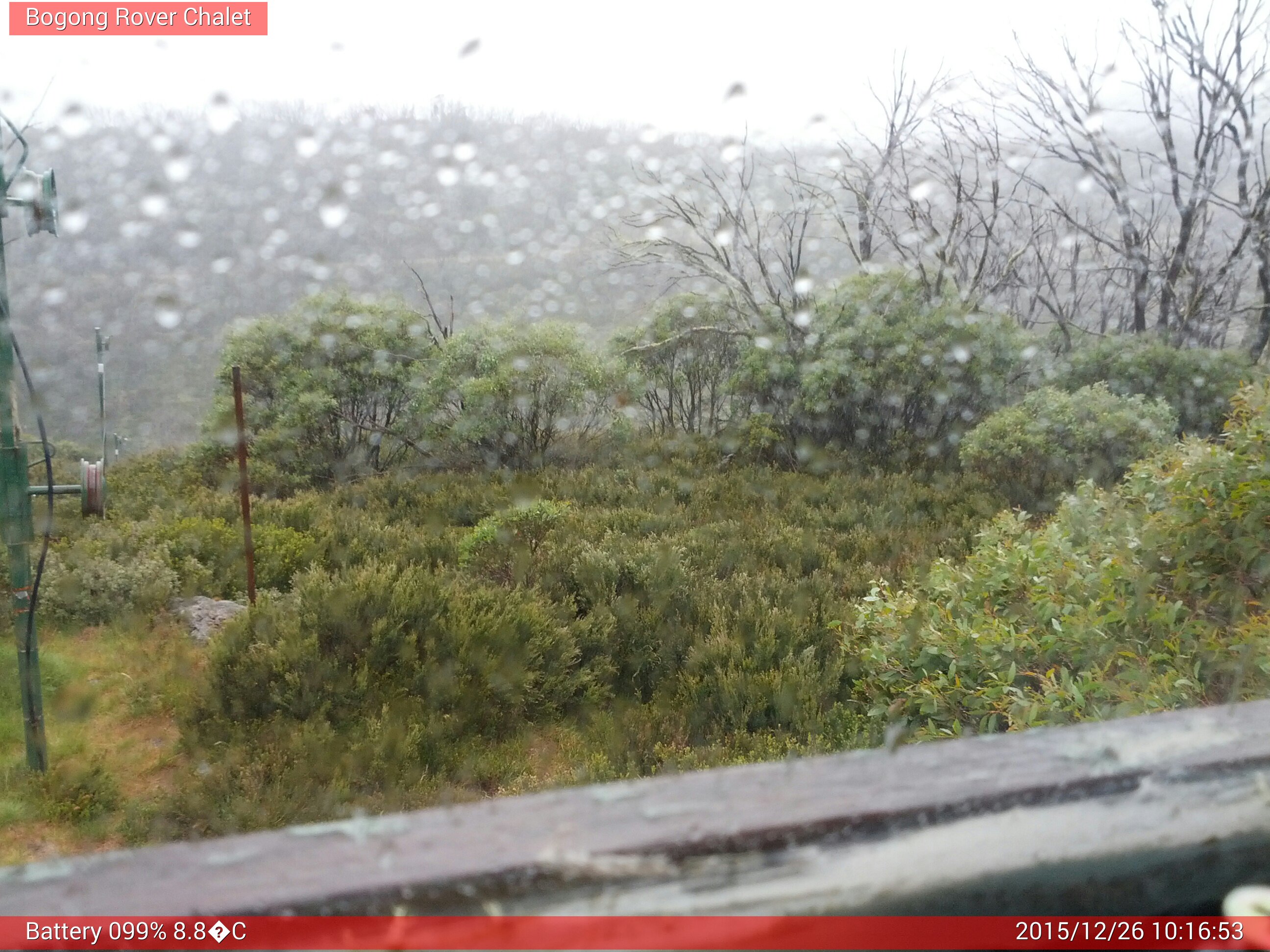 Bogong Web Cam 10:16am Saturday 26th of December 2015