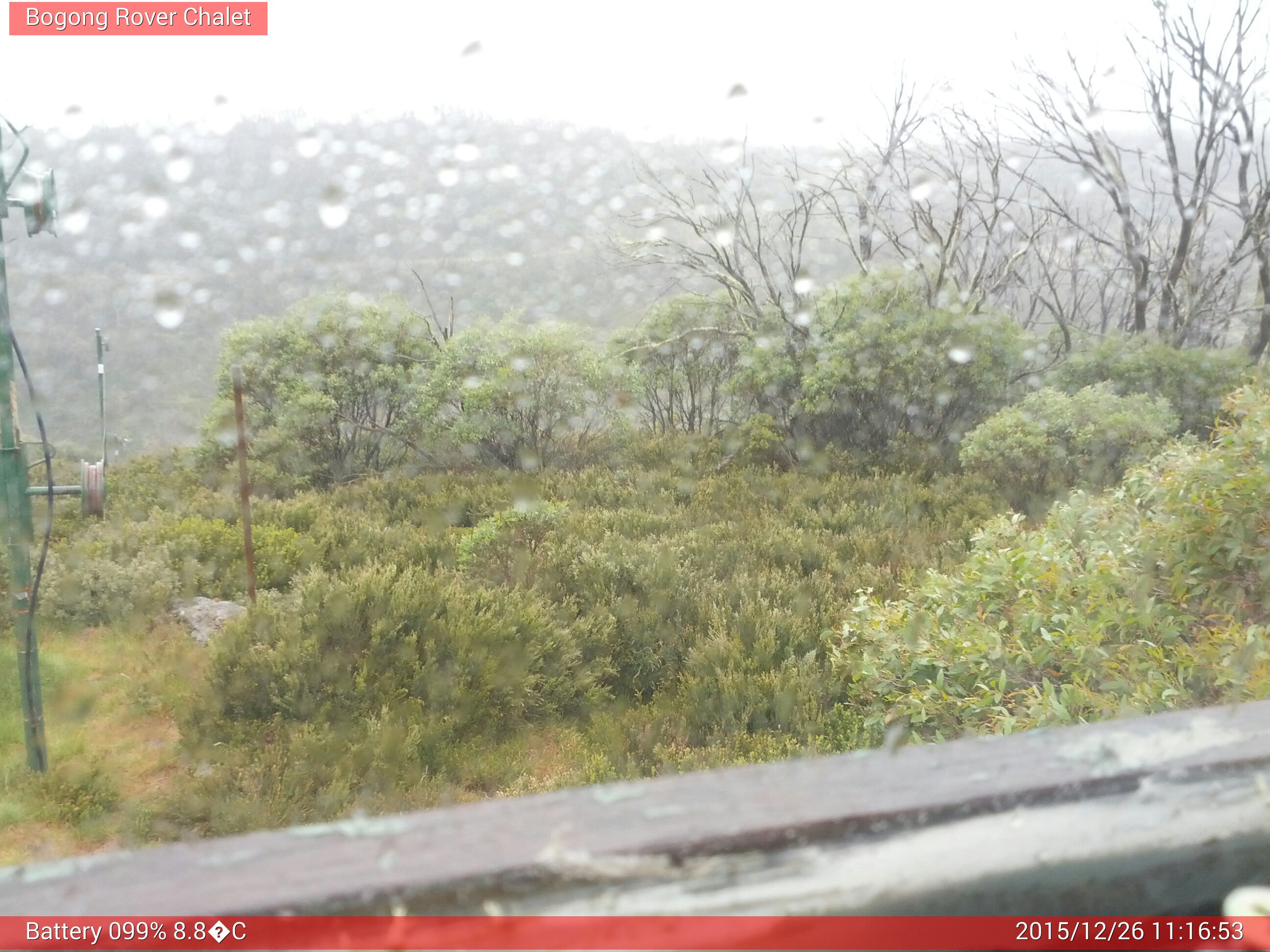 Bogong Web Cam 11:16am Saturday 26th of December 2015