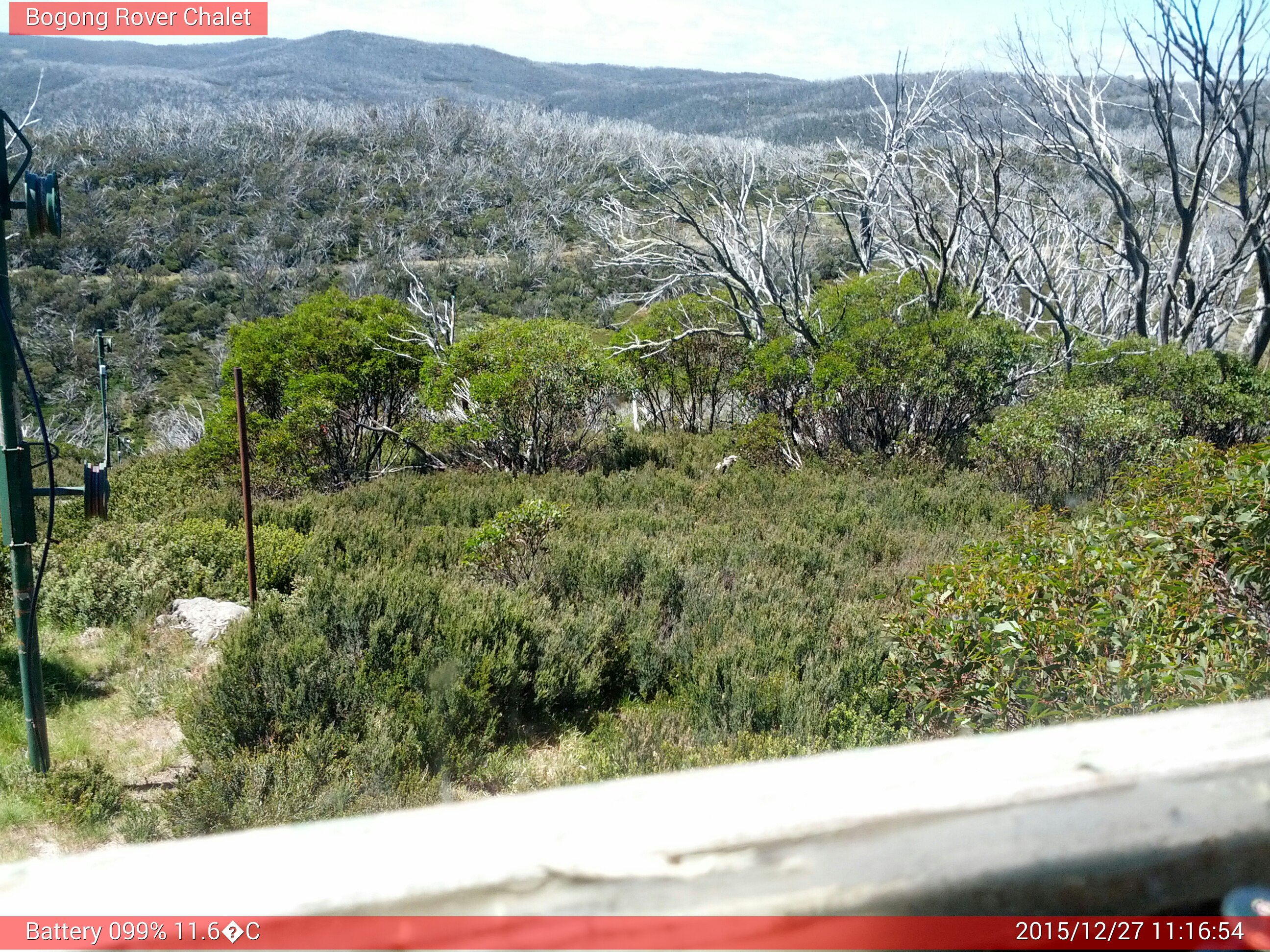 Bogong Web Cam 11:16am Sunday 27th of December 2015