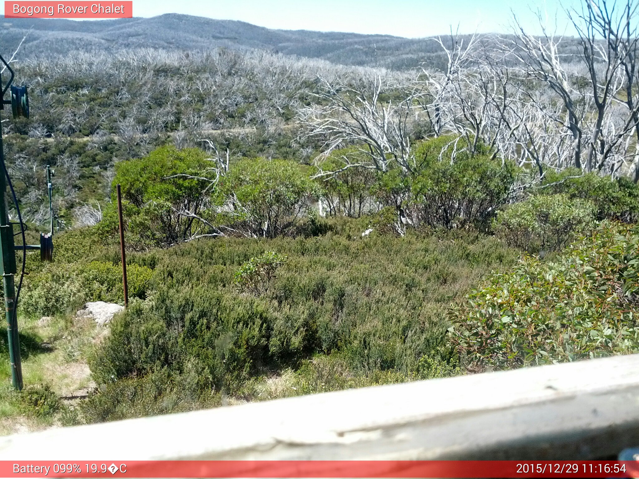 Bogong Web Cam 11:16am Tuesday 29th of December 2015