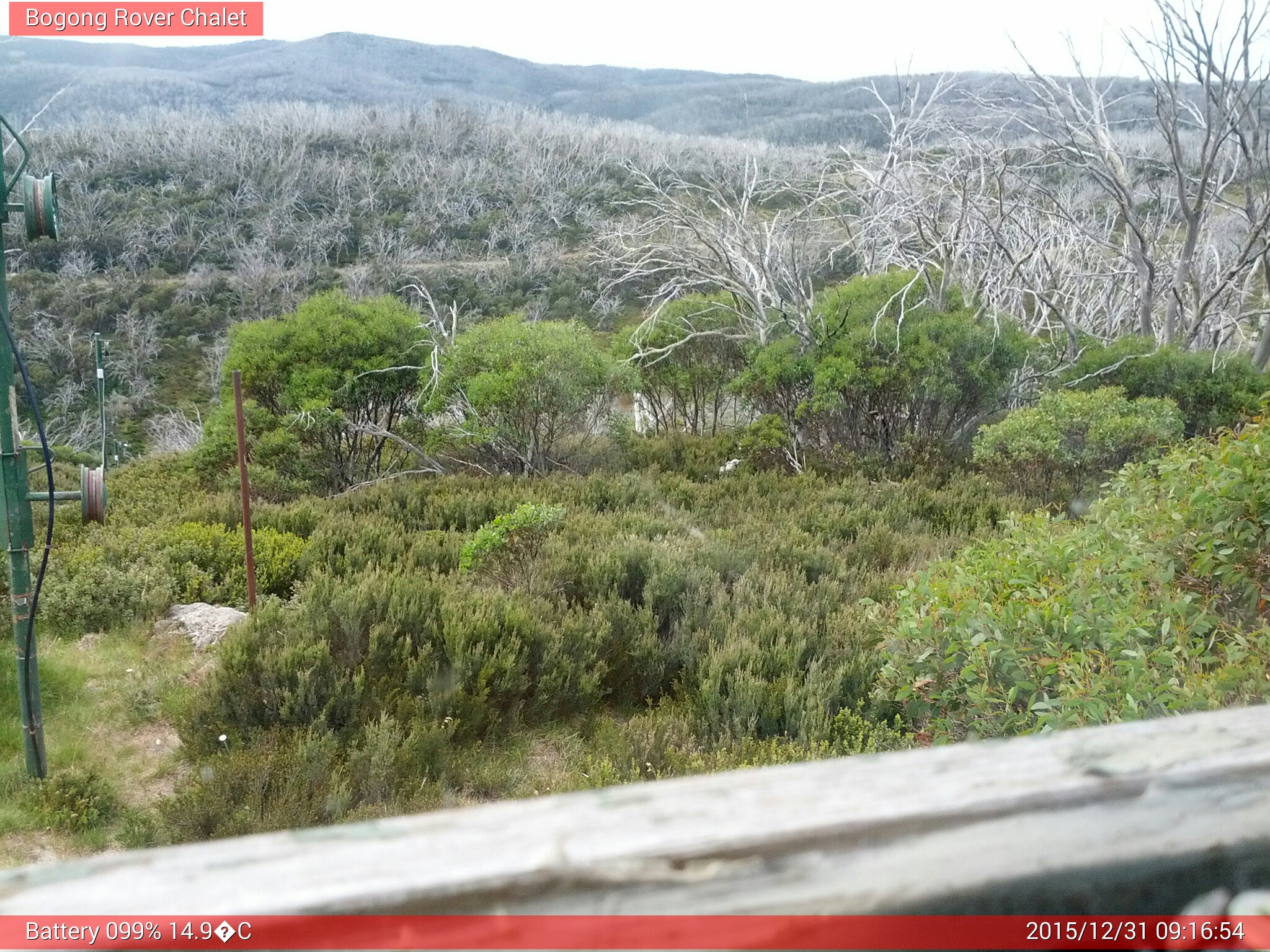 Bogong Web Cam 9:16am Thursday 31st of December 2015