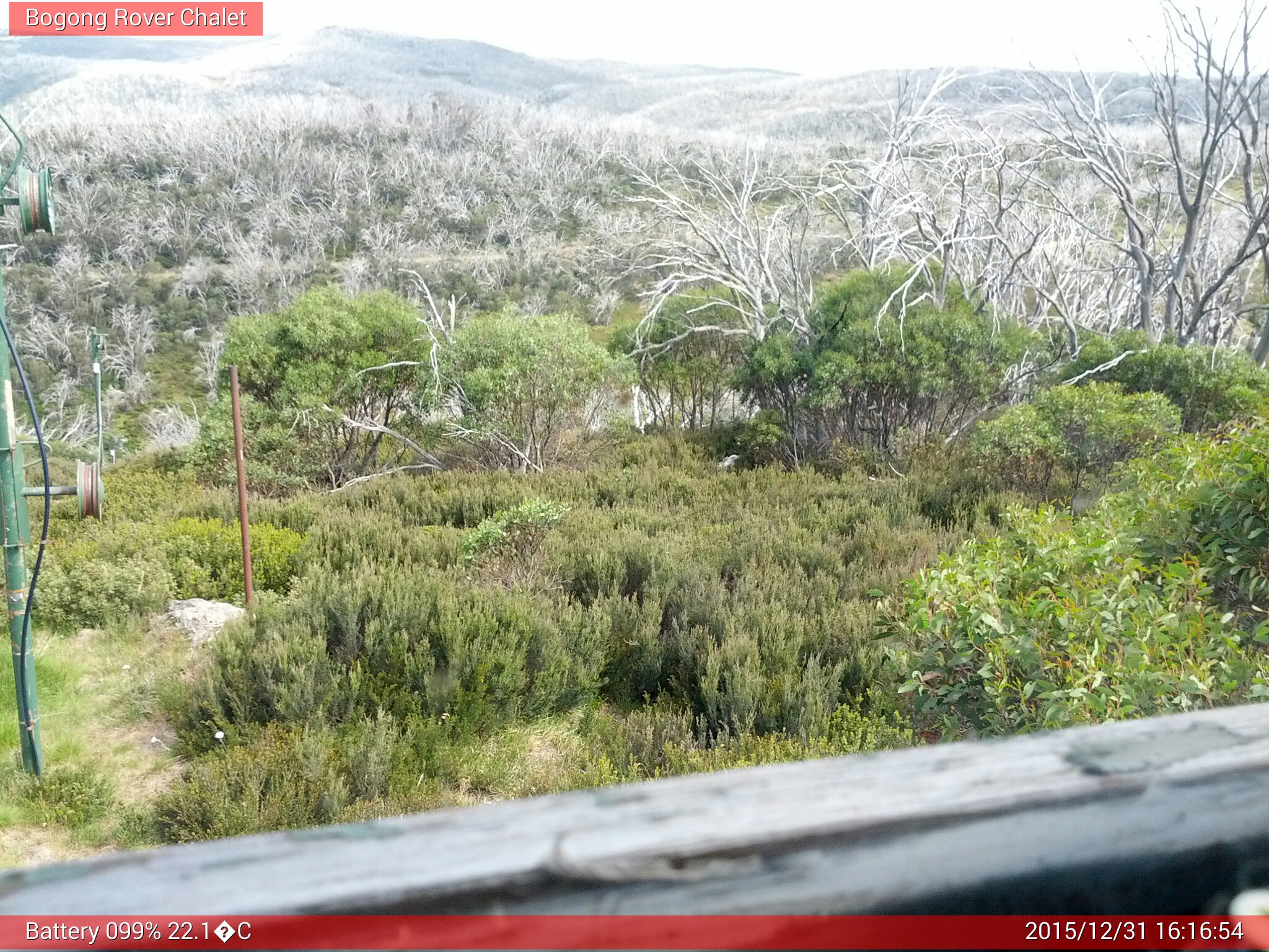 Bogong Web Cam 4:16pm Thursday 31st of December 2015