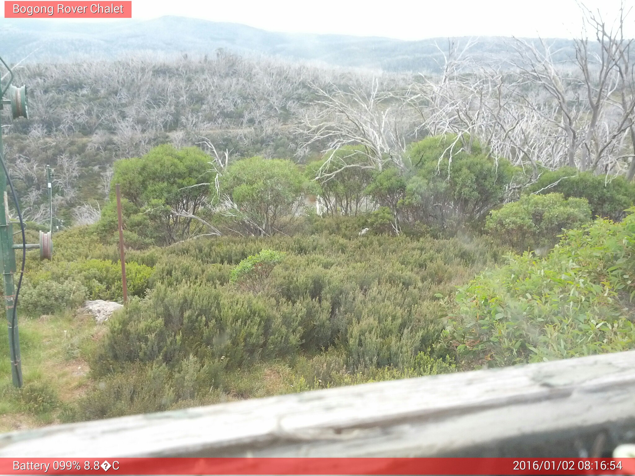 Bogong Web Cam 8:16am Saturday 2nd of January 2016