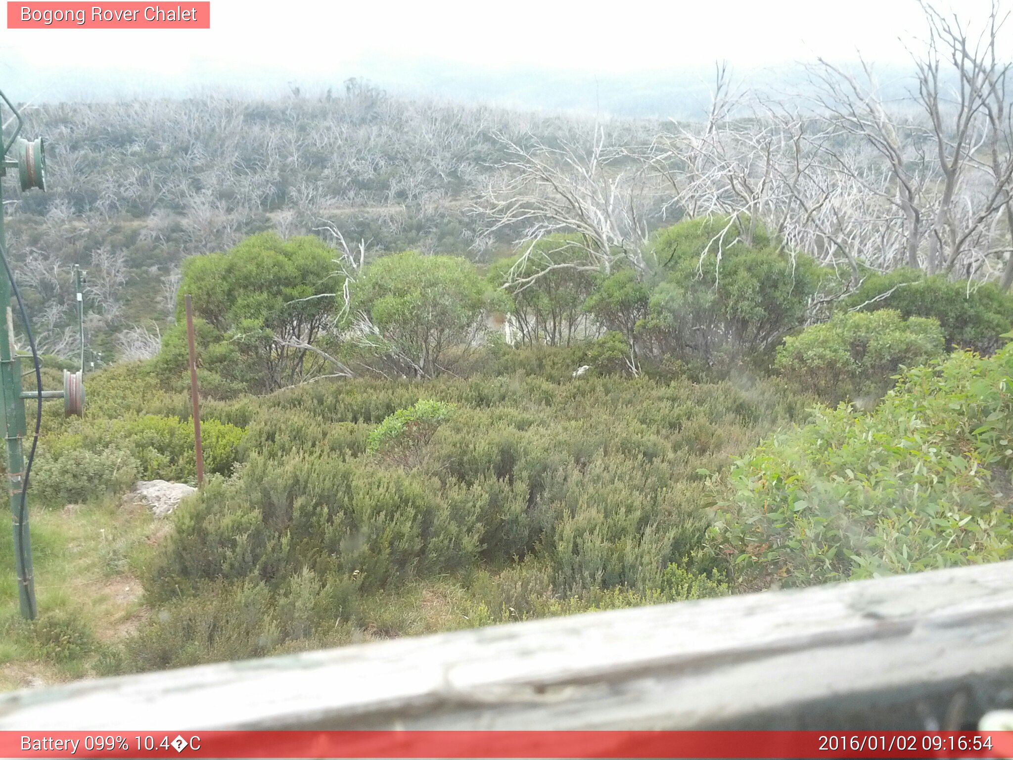 Bogong Web Cam 9:16am Saturday 2nd of January 2016