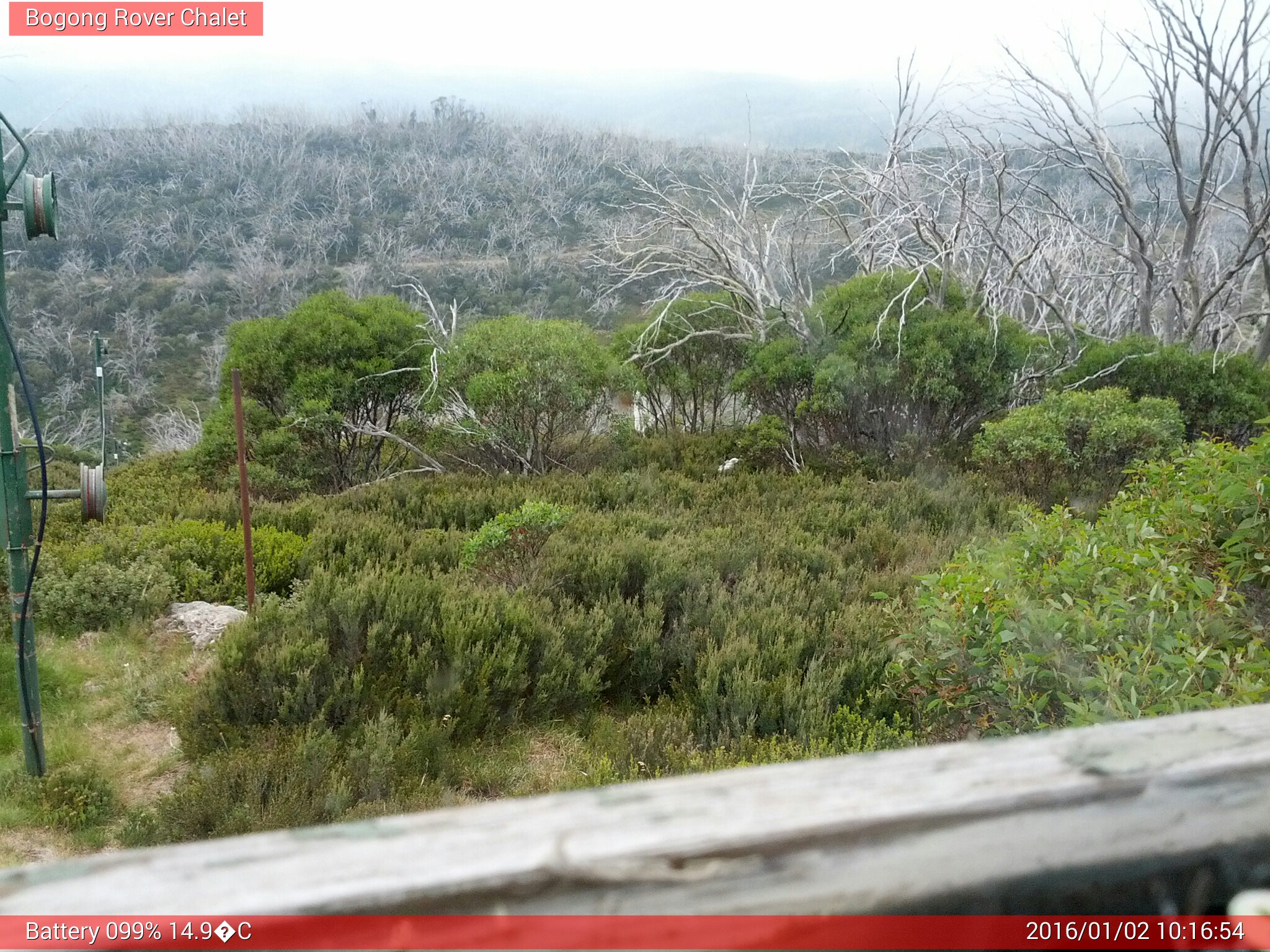 Bogong Web Cam 10:16am Saturday 2nd of January 2016