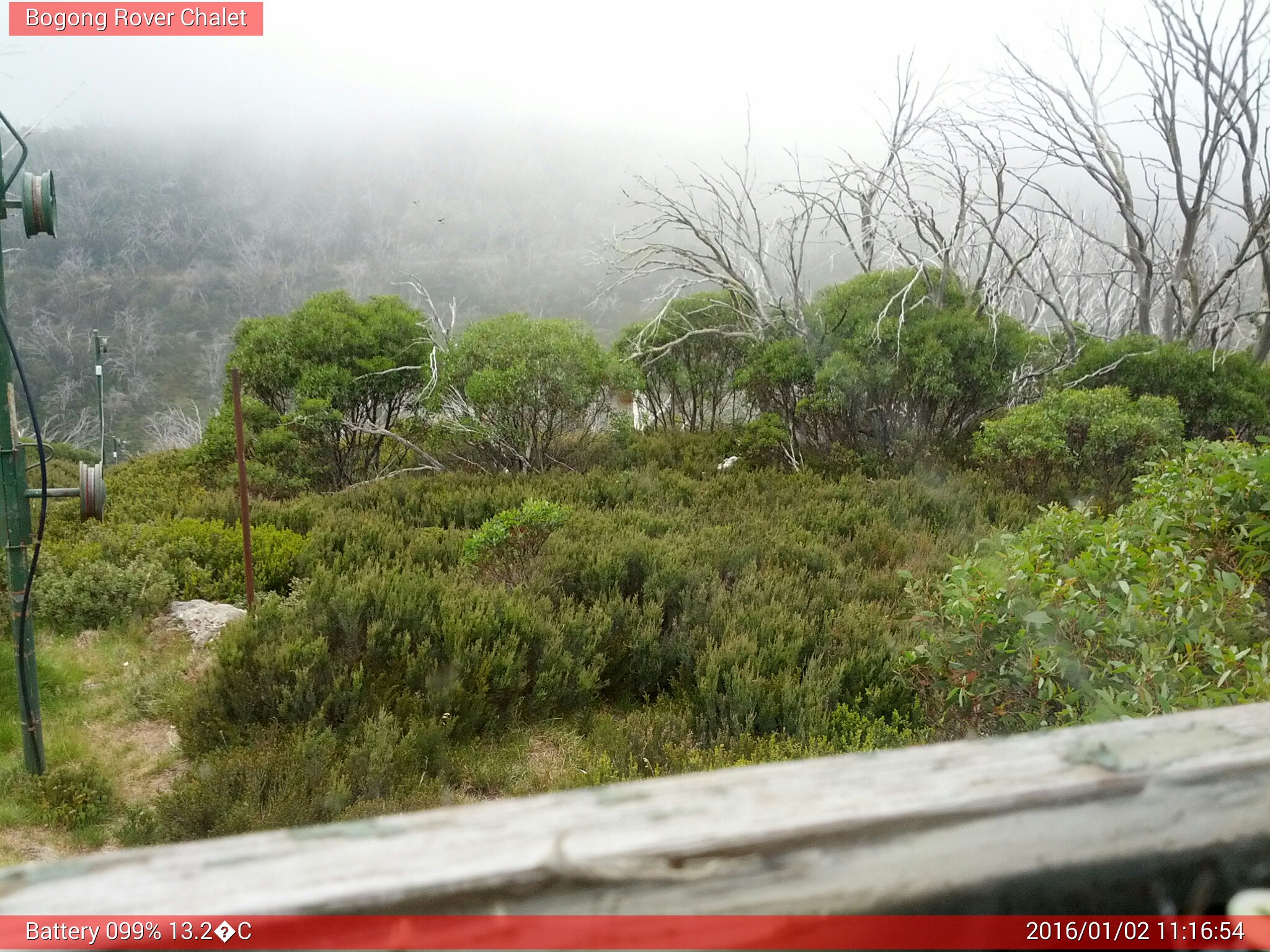 Bogong Web Cam 11:16am Saturday 2nd of January 2016