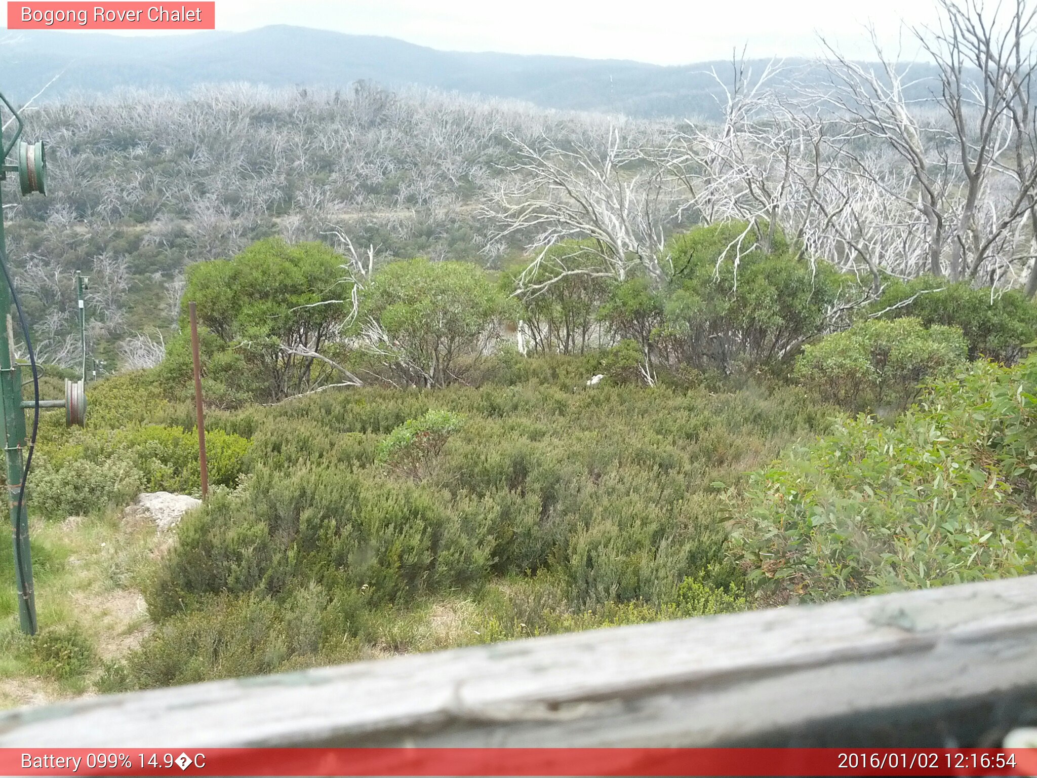 Bogong Web Cam 12:16pm Saturday 2nd of January 2016