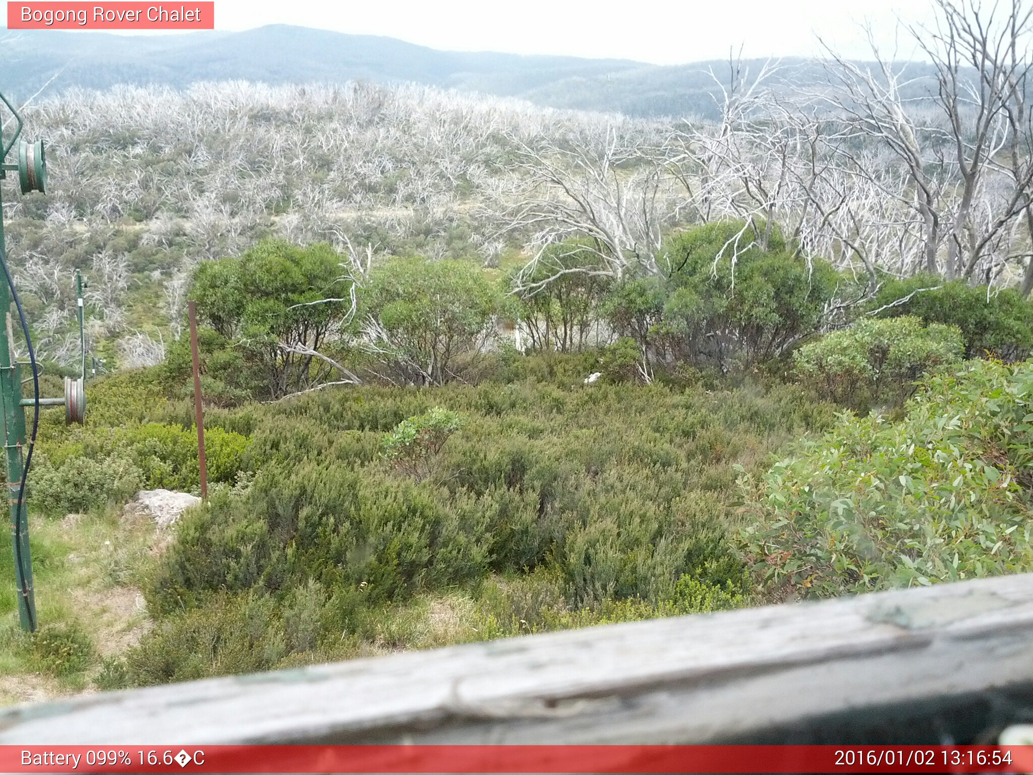 Bogong Web Cam 1:16pm Saturday 2nd of January 2016