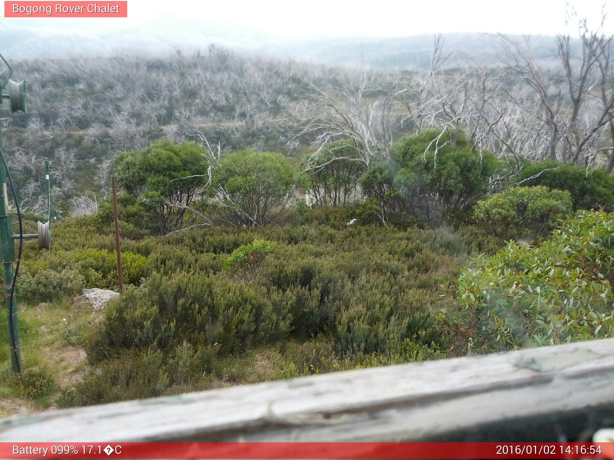 Bogong Web Cam 2:16pm Saturday 2nd of January 2016