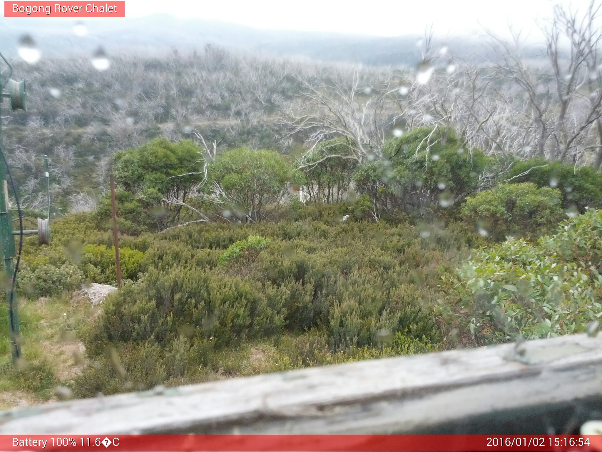 Bogong Web Cam 3:16pm Saturday 2nd of January 2016