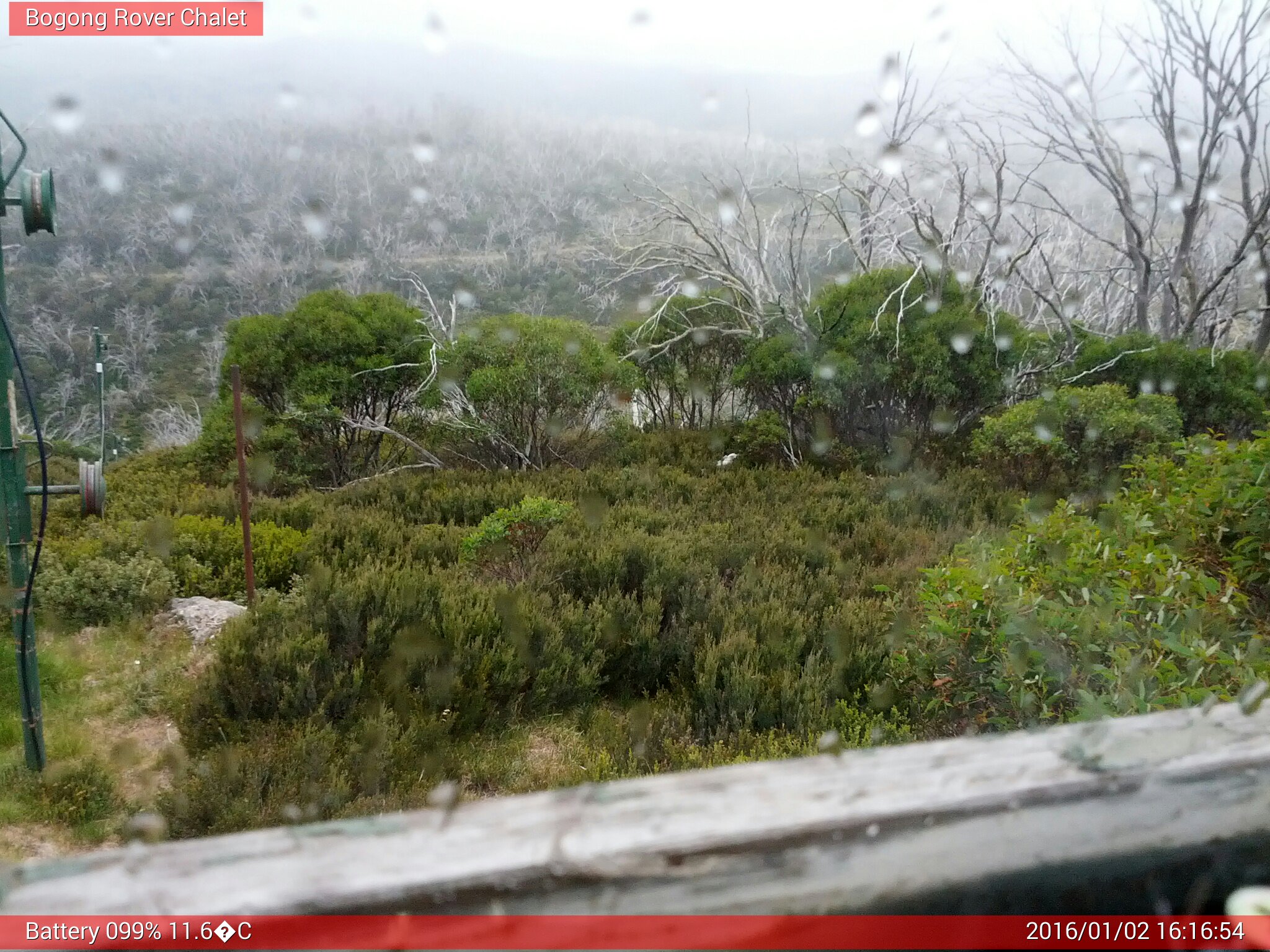 Bogong Web Cam 4:16pm Saturday 2nd of January 2016