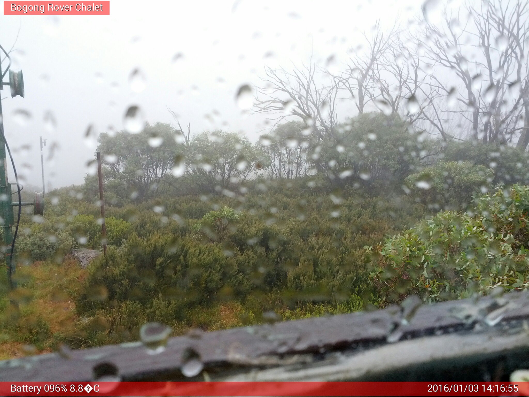 Bogong Web Cam 2:16pm Sunday 3rd of January 2016