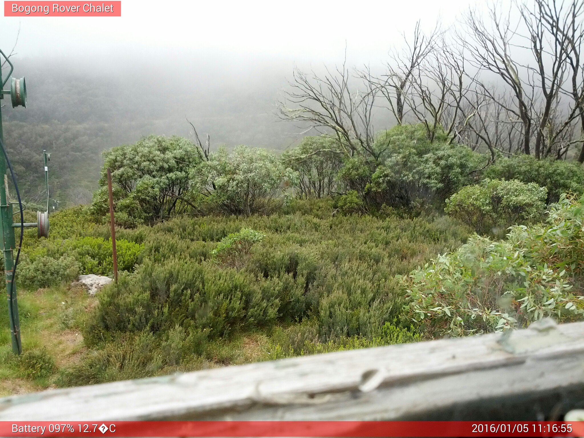 Bogong Web Cam 11:16am Tuesday 5th of January 2016