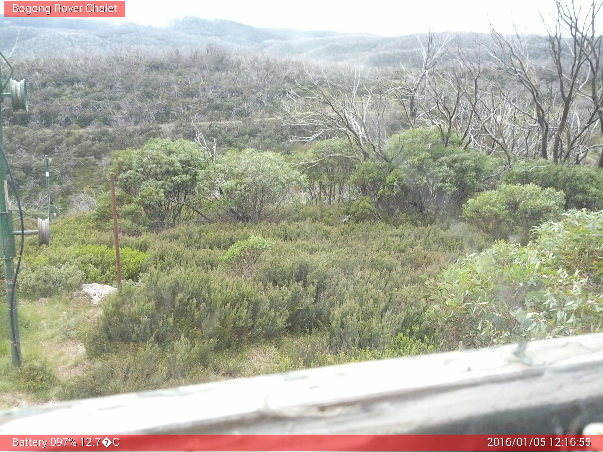 Bogong Web Cam 12:16pm Tuesday 5th of January 2016